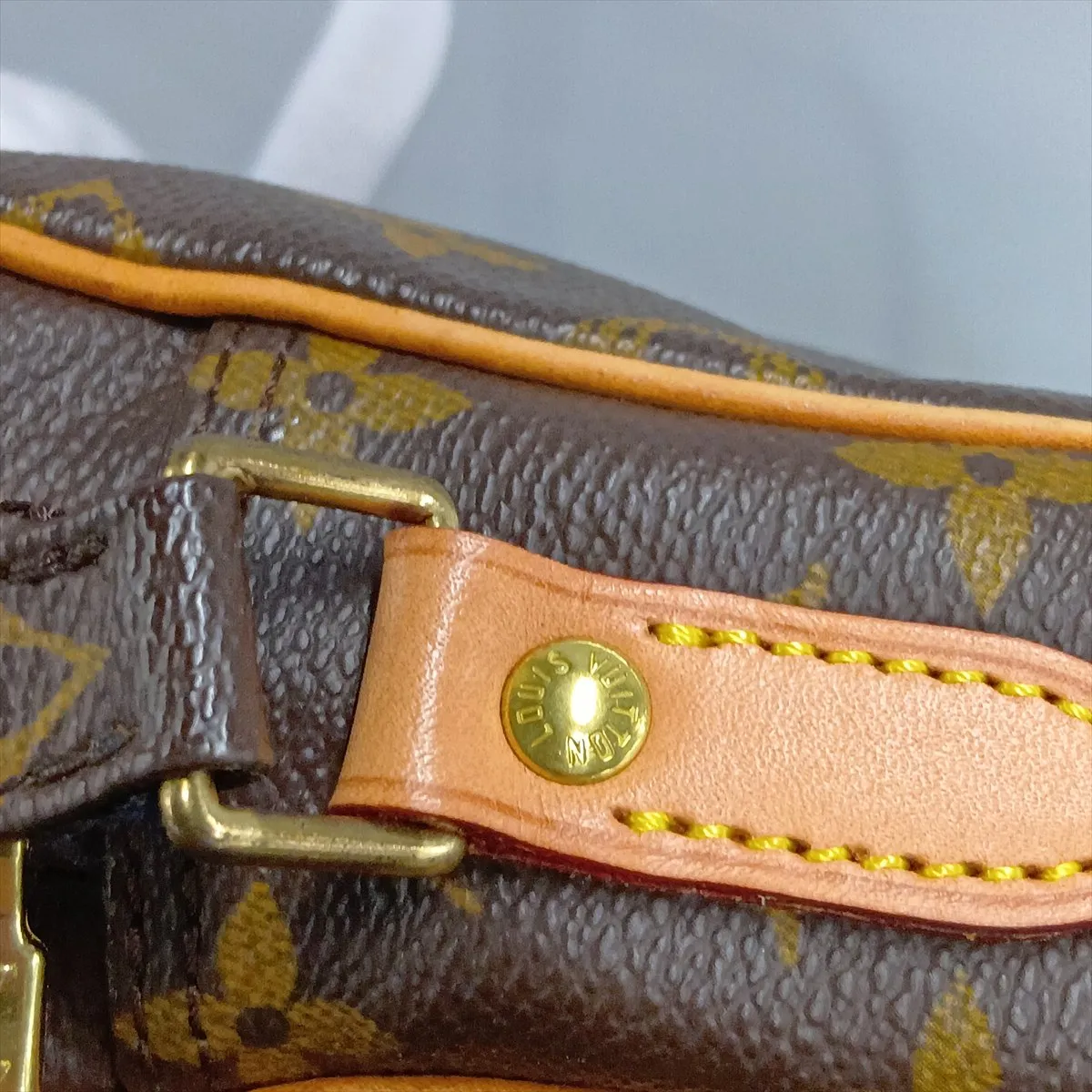 Monogram Amazon M45236 AR0022 Brown — view 13
