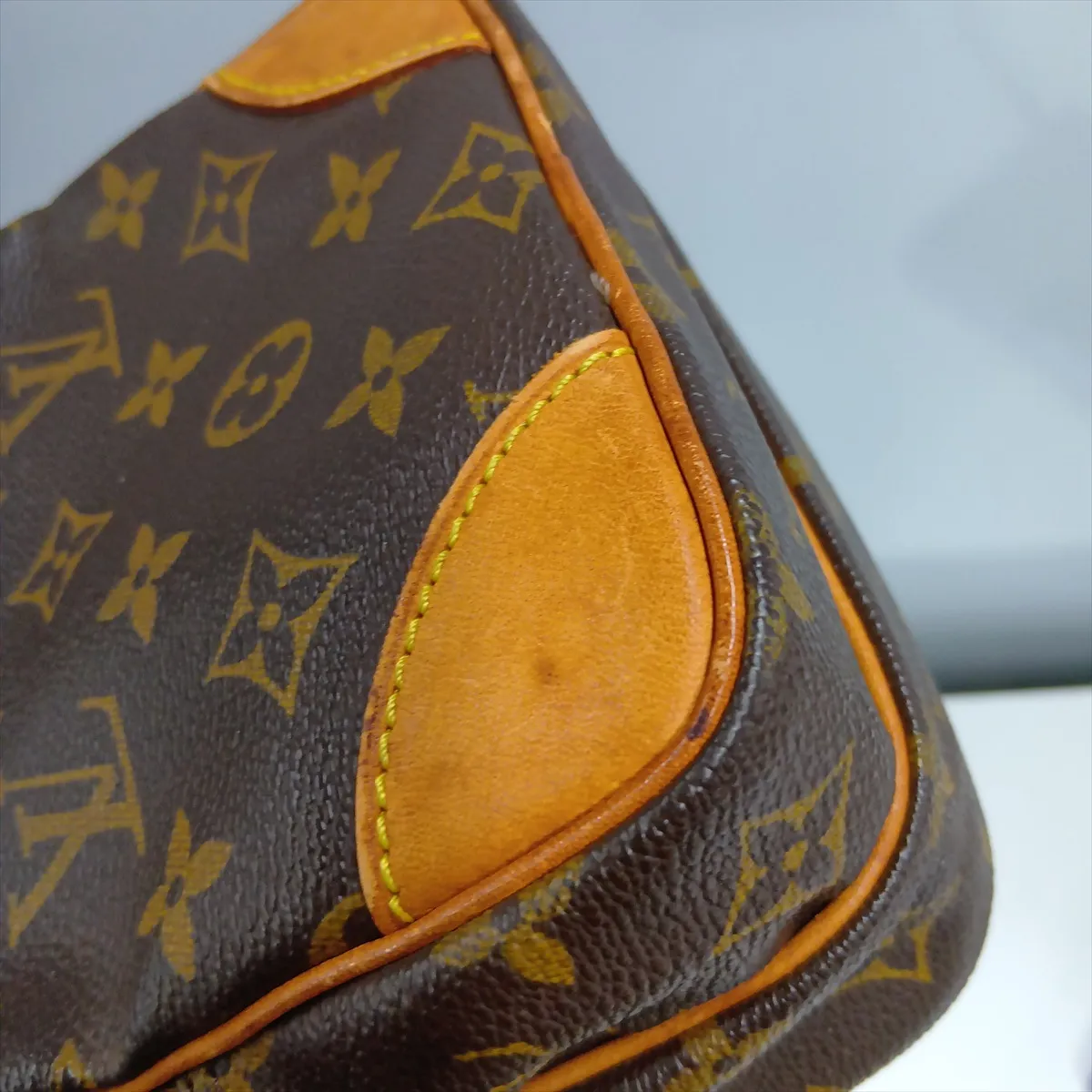 Monogram Amazon M45236 AR0022 Brown — view 14