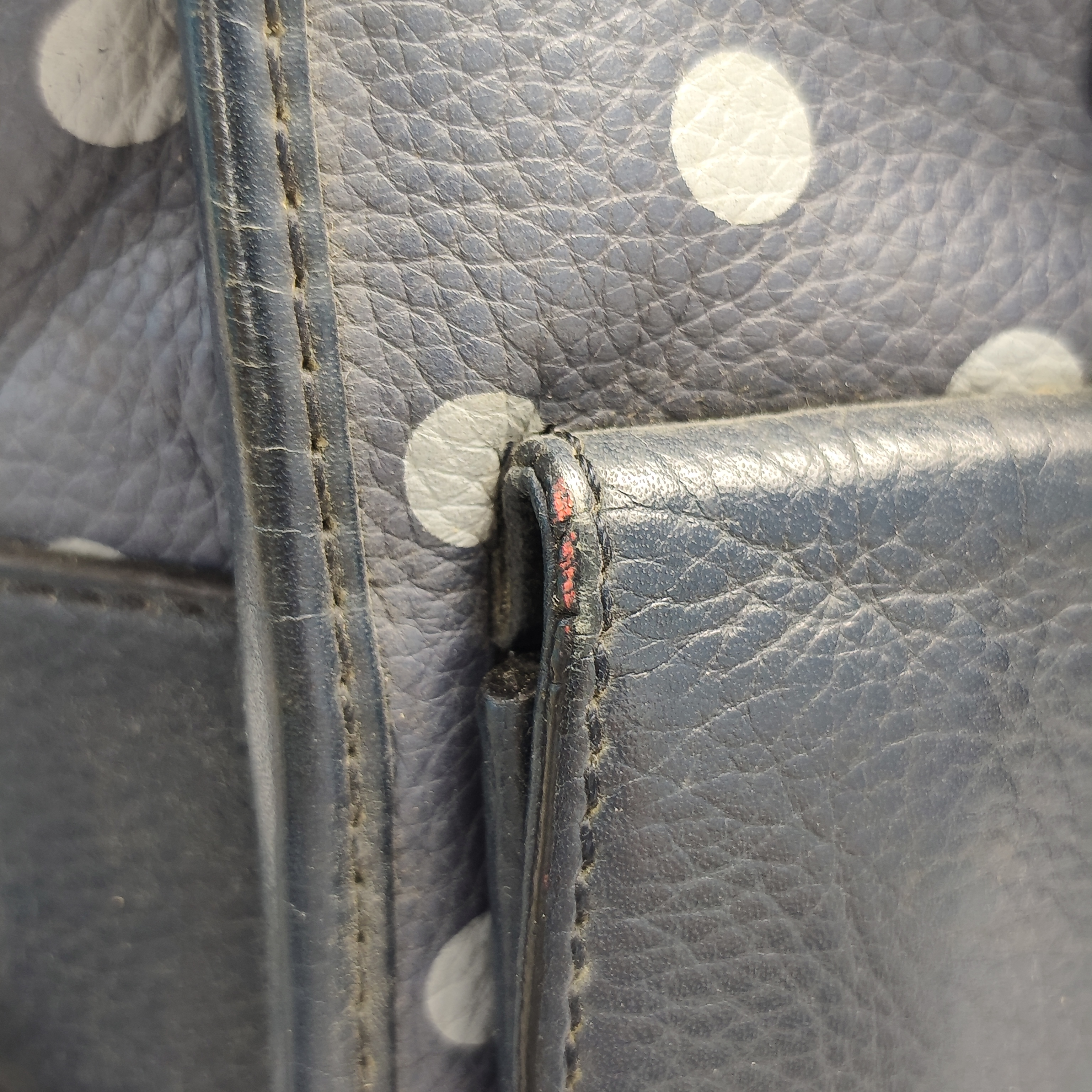 【*Shipped from: China*】LOEWE Amazona Leather Shoulder Bag — view 10