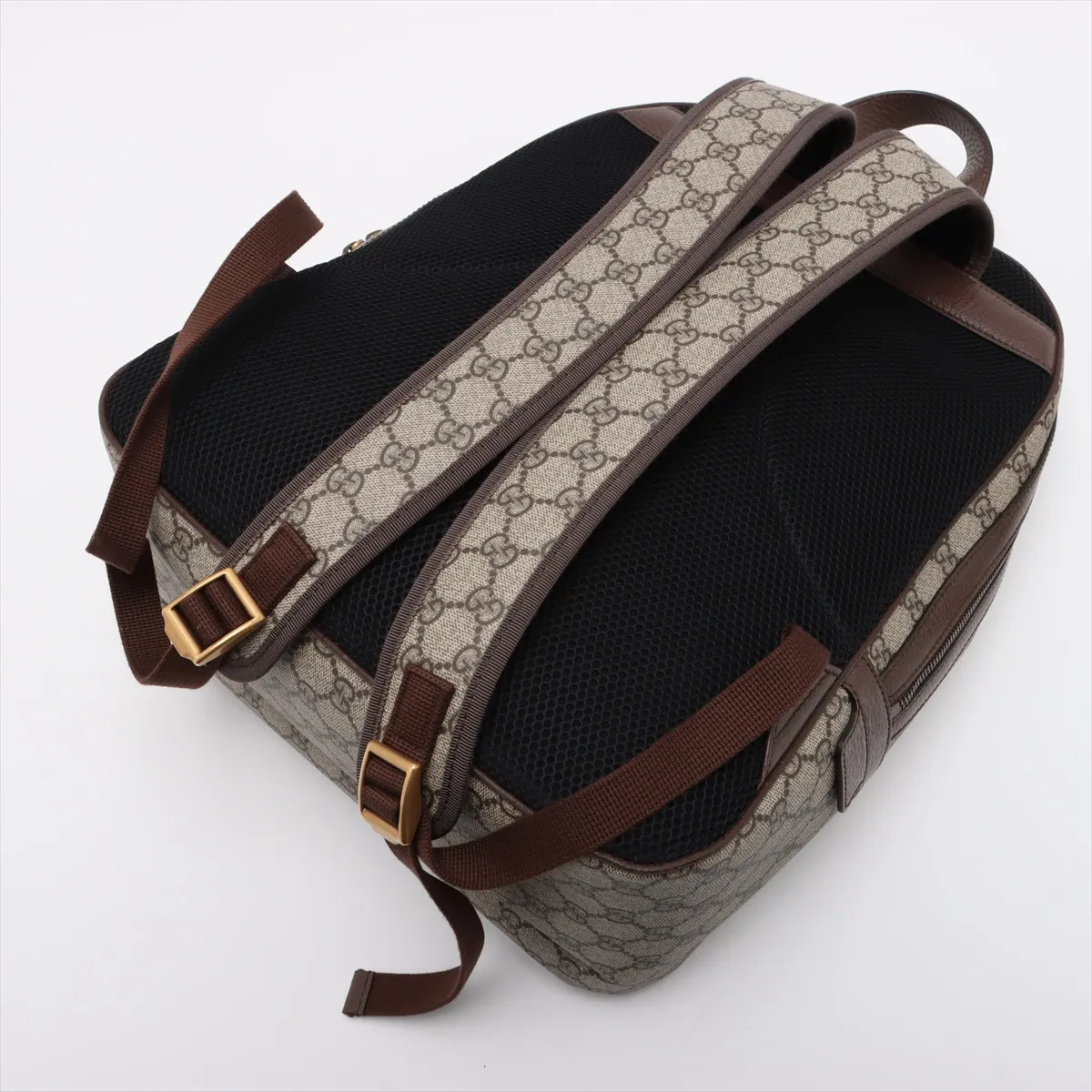 GG Supreme Offdia PVC x Leather Backpack/Rucksack Brown 547967 — view 5