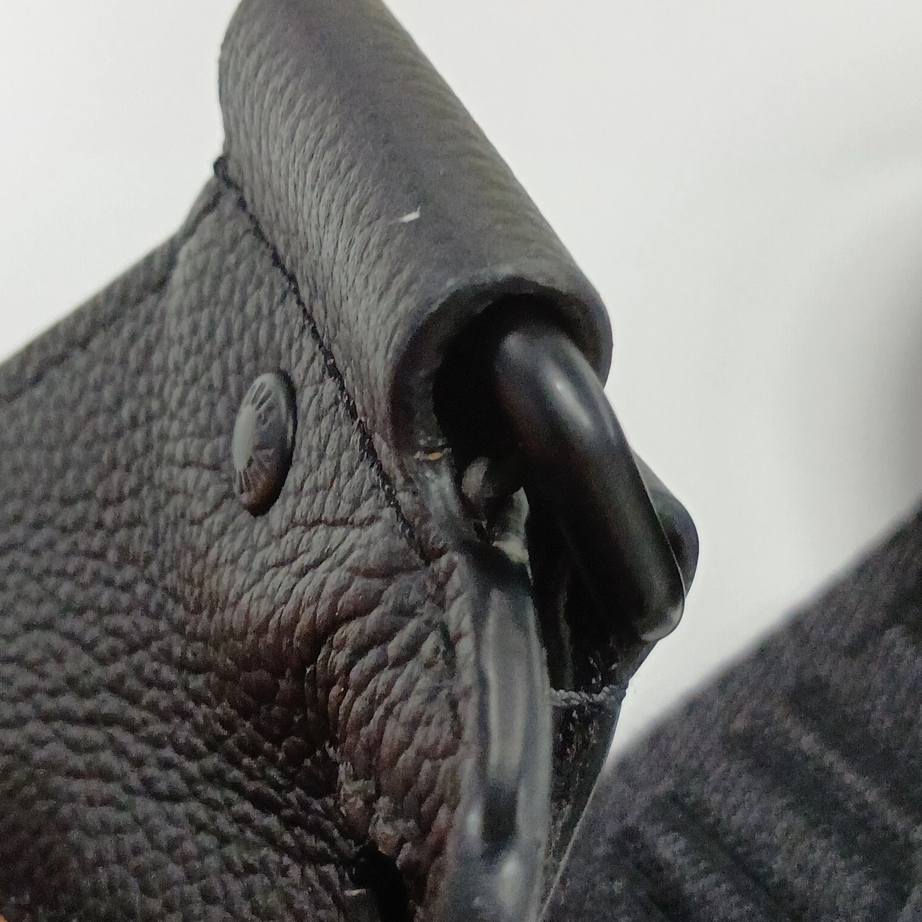 LV Aerogram Takeoff Sling M57081 Black (RFID detected) — view 12