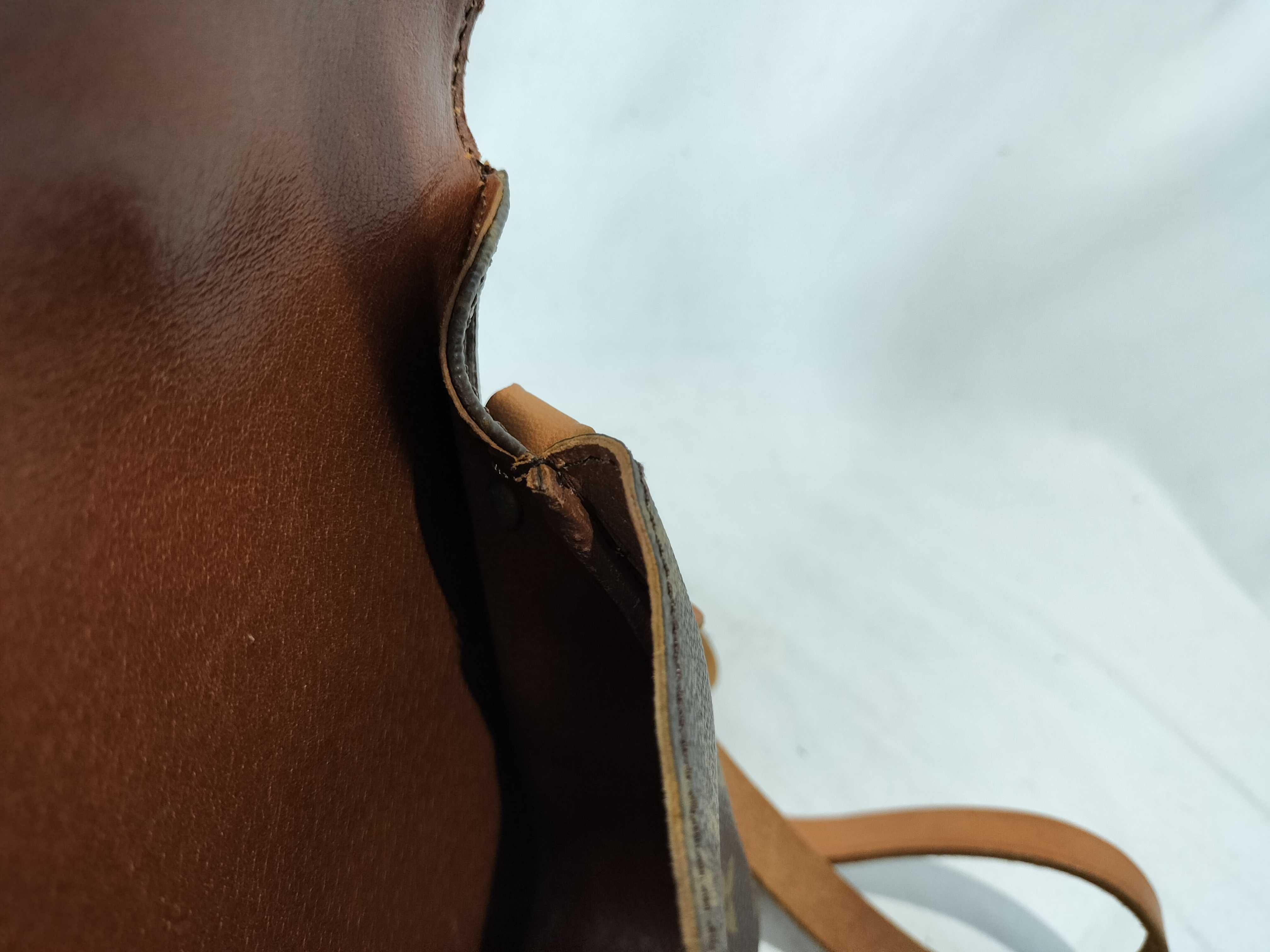 Monogram M51254 Mini Cartouchiere Shoulder Bag — view 11