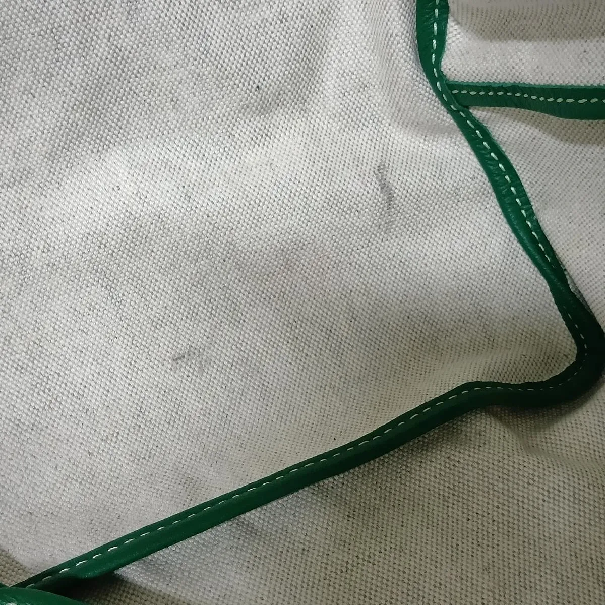 Saint Louis GM PVC x Leather Tote Bag, Green — view 14
