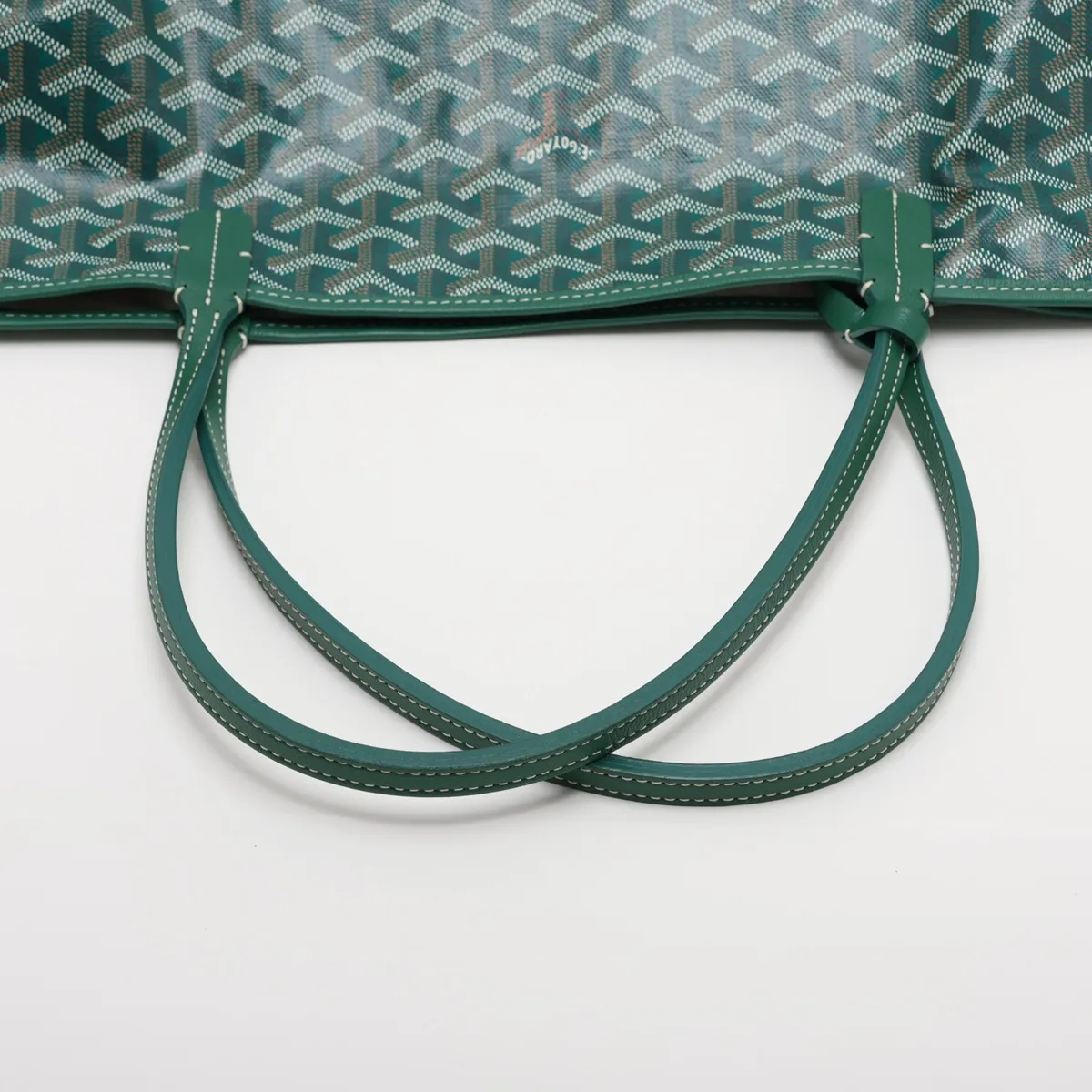 Saint Louis GM PVC x Leather Tote Bag, Green — view 5