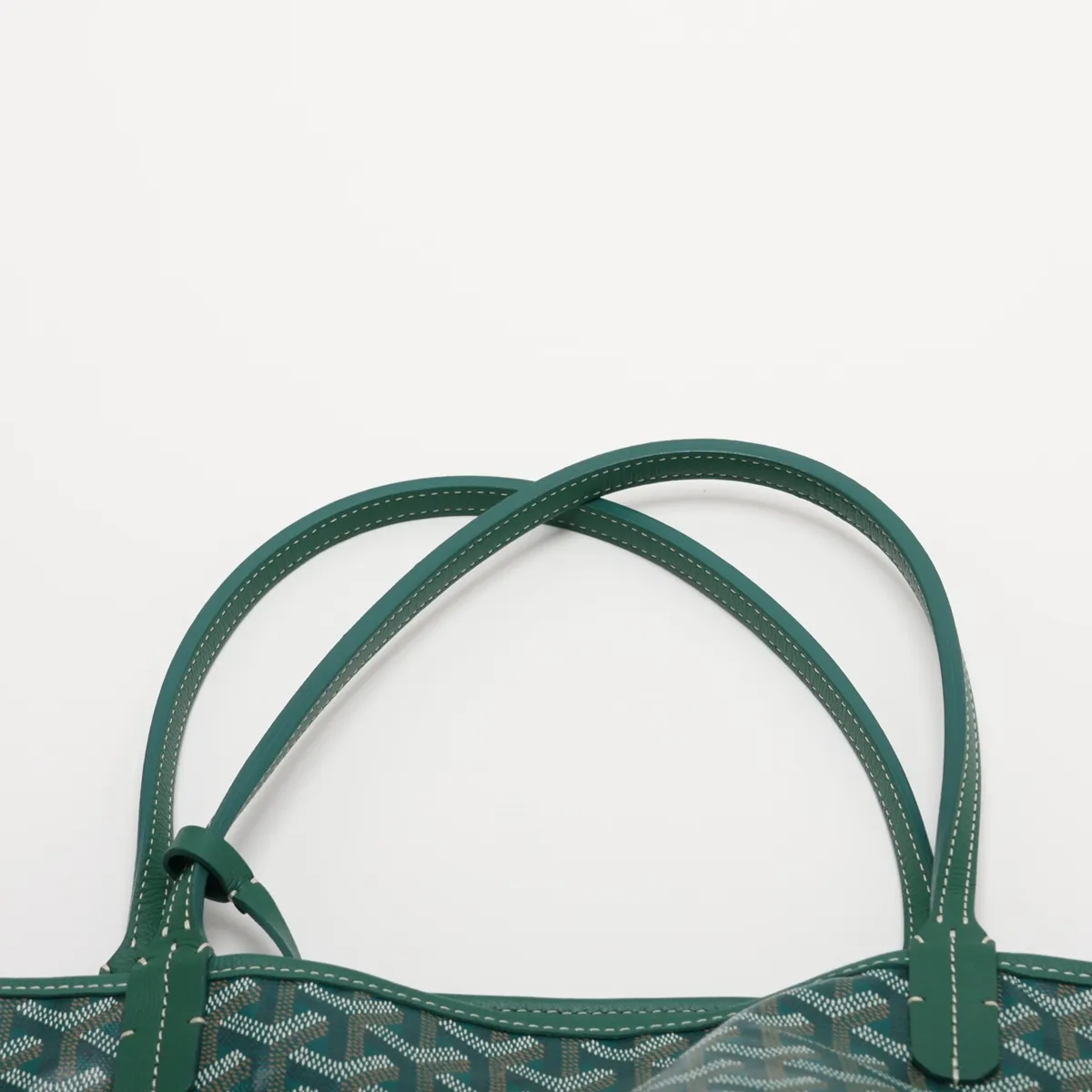 Saint Louis GM PVC x Leather Tote Bag, Green — view 6