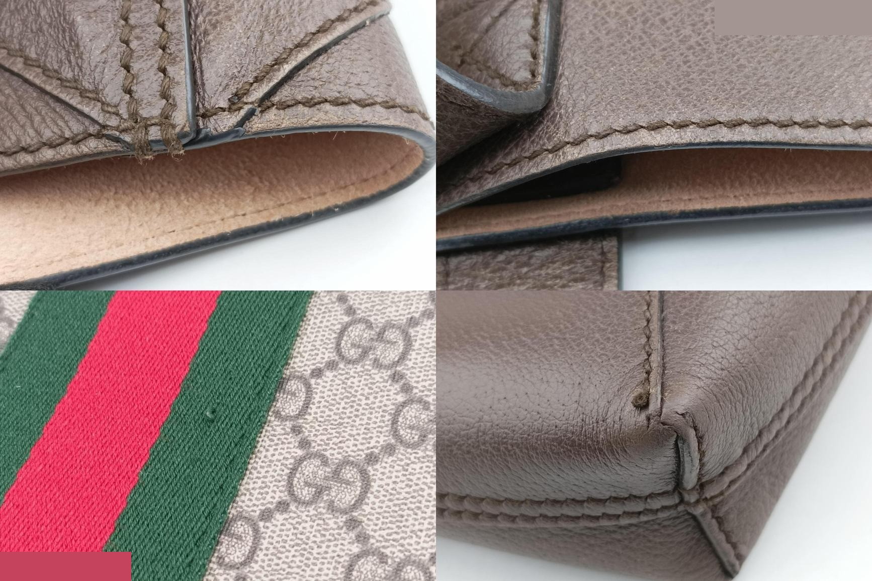 Ophidia PVC Coated Canvas x Leather Brown — view 9