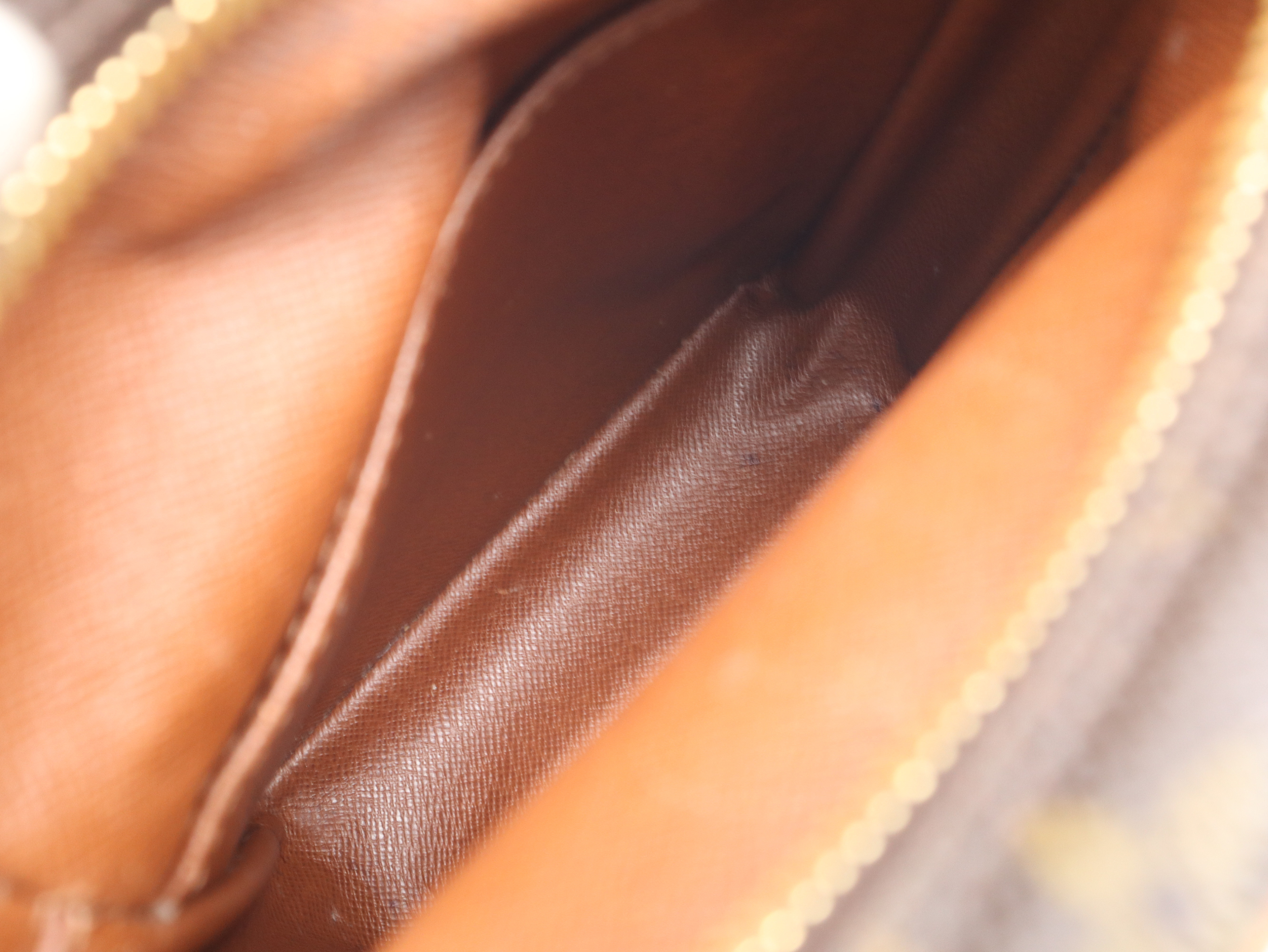M45236 Monogram Amazon Shoulder Bag — view 10