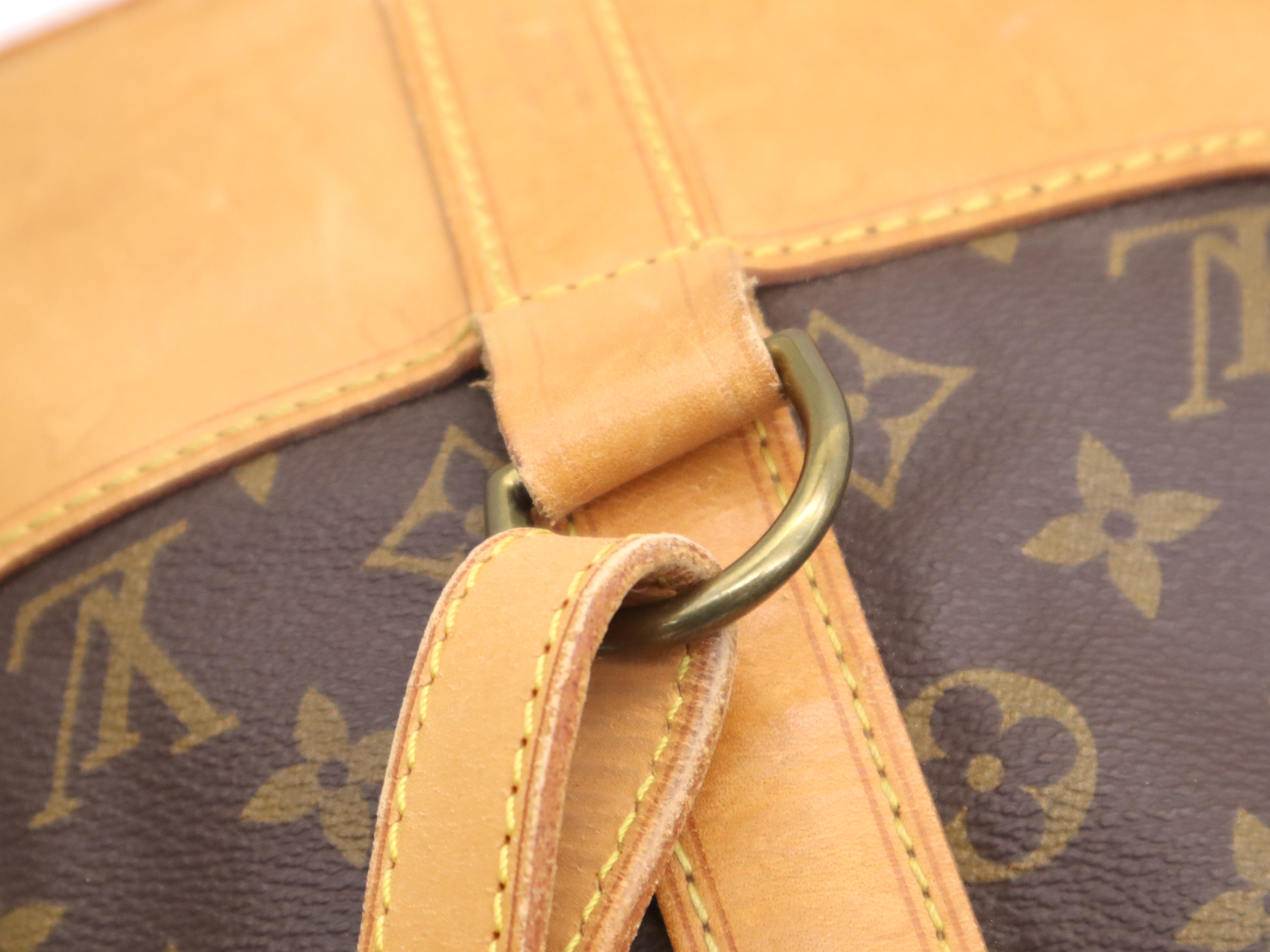 M42244 Monogram Randonee GM Shoulder Bag — view 8