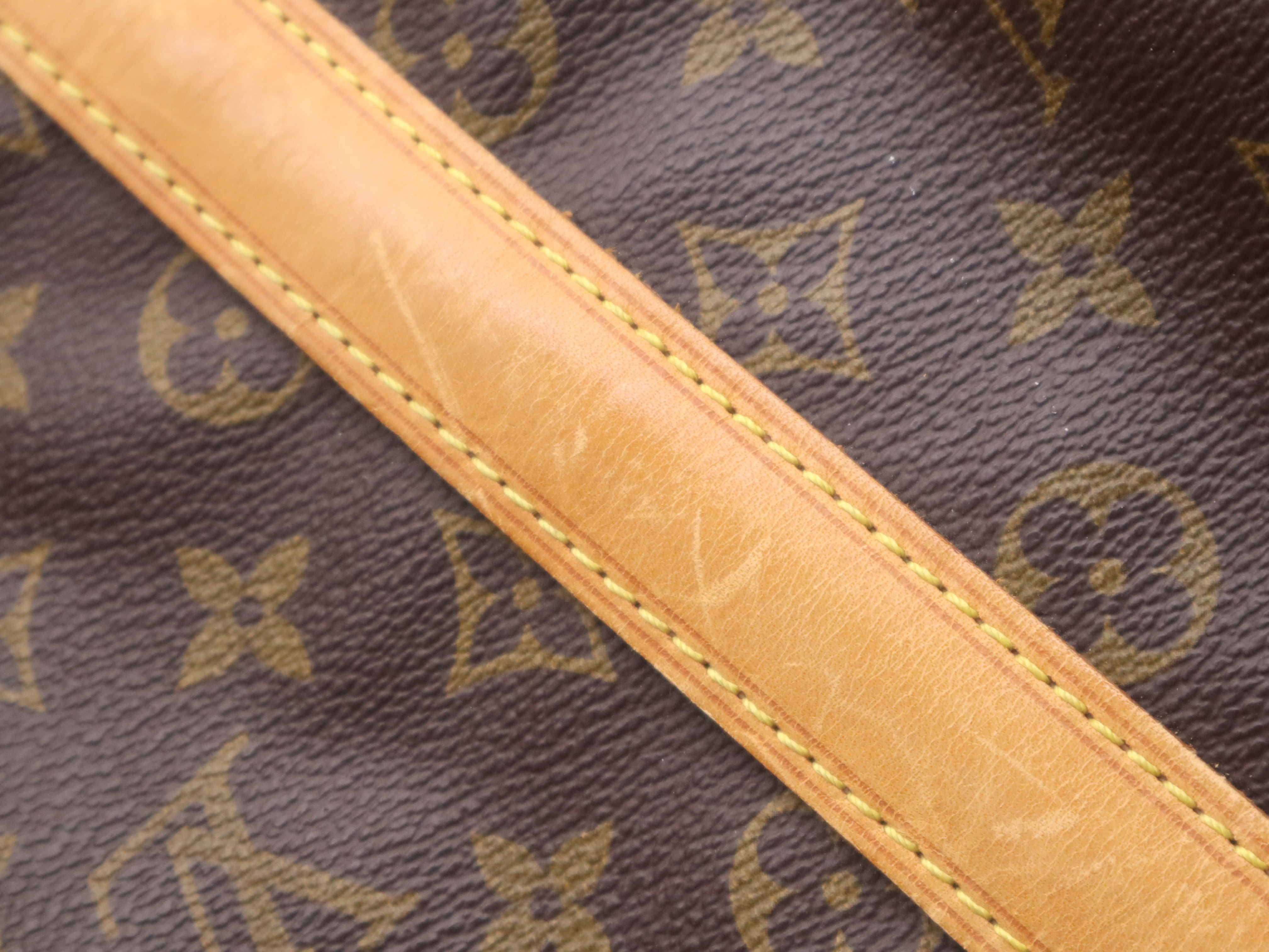 M42244 Monogram Randonee GM Shoulder Bag — view 9