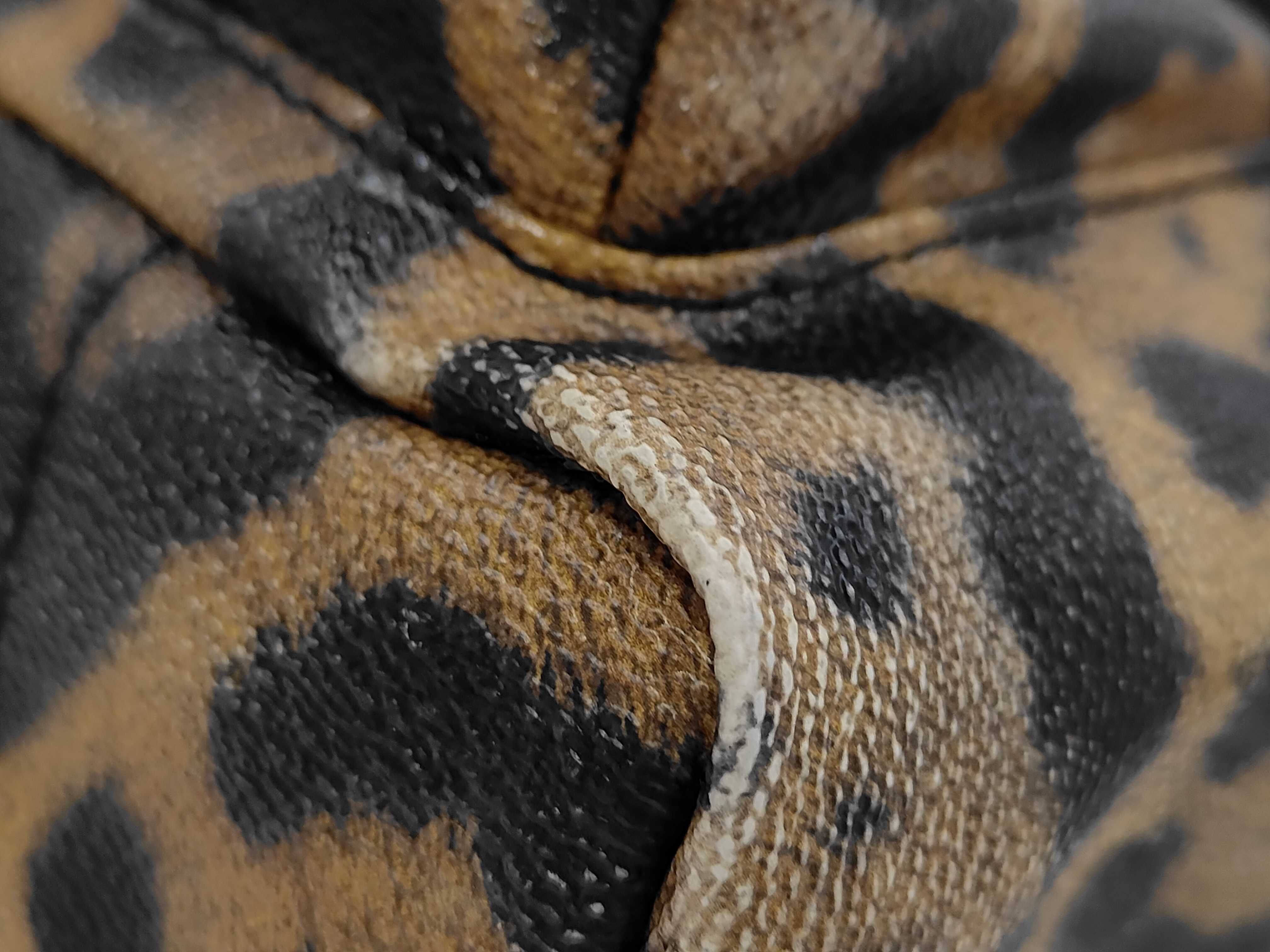 Palm Springs PM Leopard Backpack M52020 — view 4