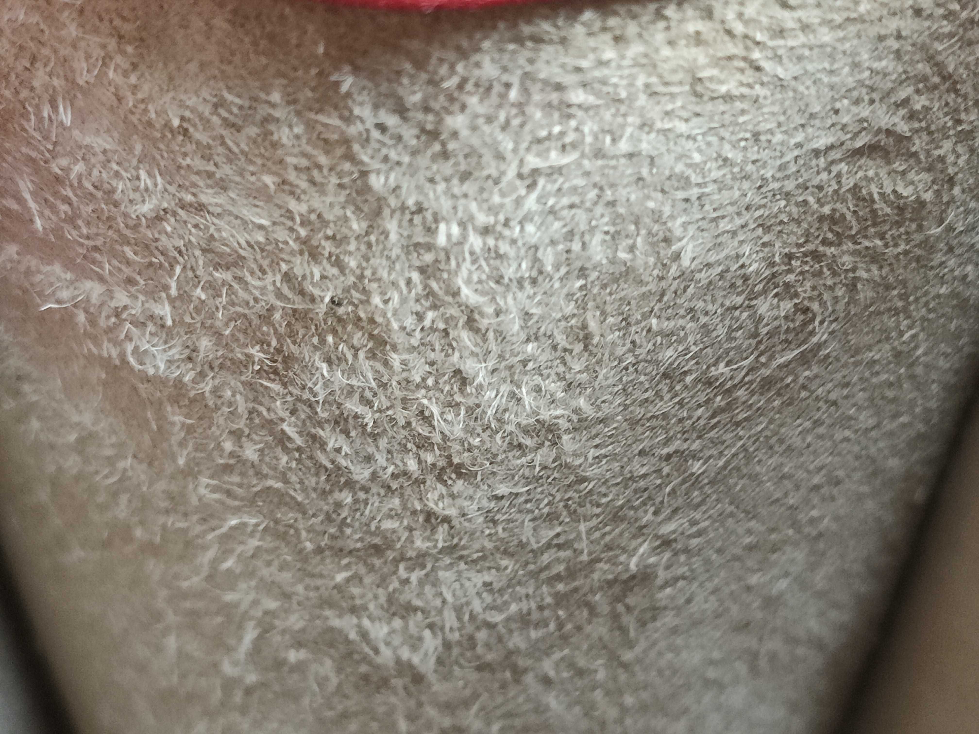 Shoulder Bag — view 13