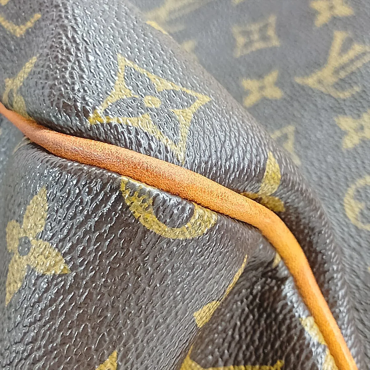 Monogram Delightful GM M40354 FL4180 Brown — view 13