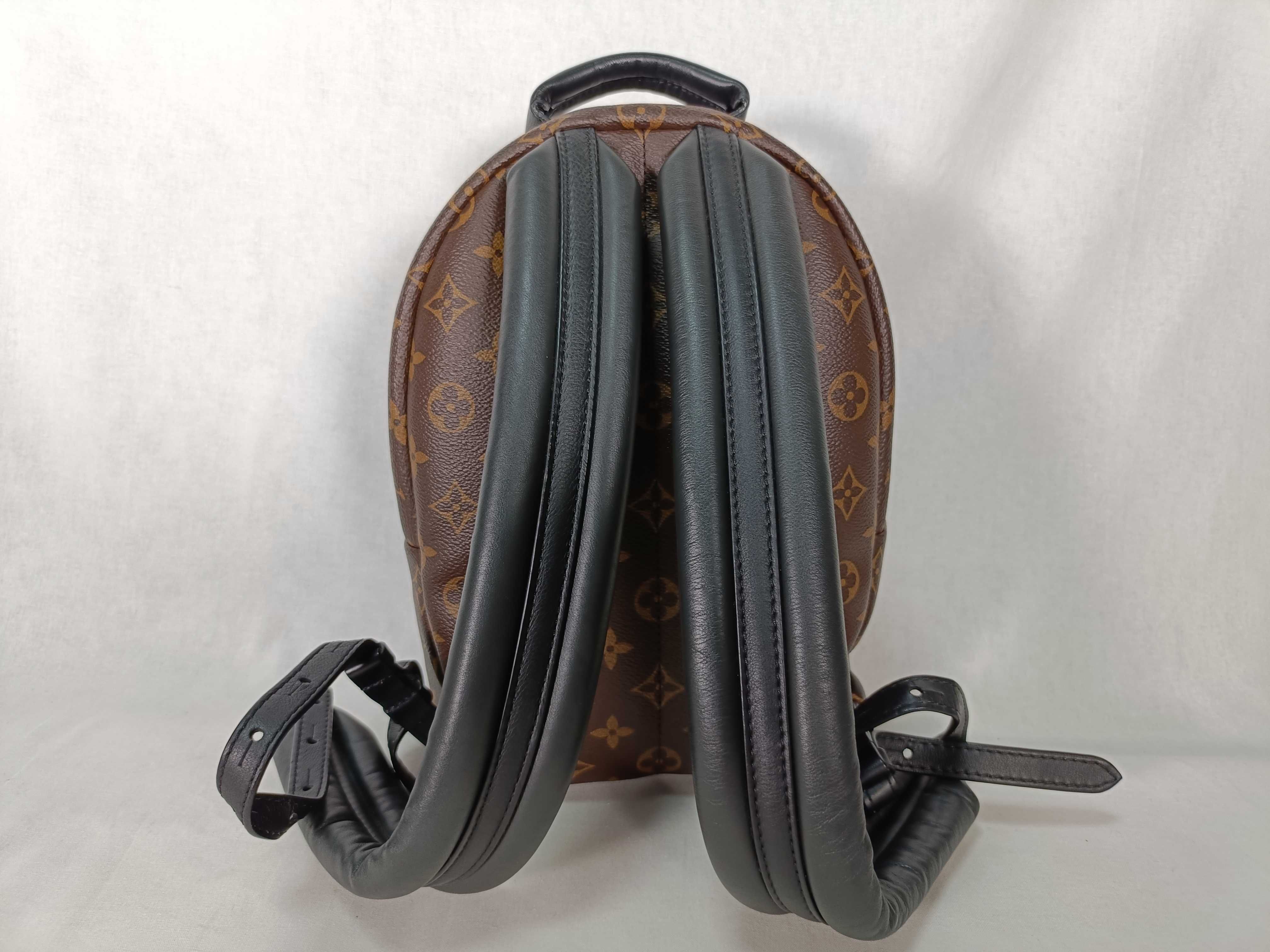 Monogram Palm Springs Brown Monogram Small Backpack — view 2