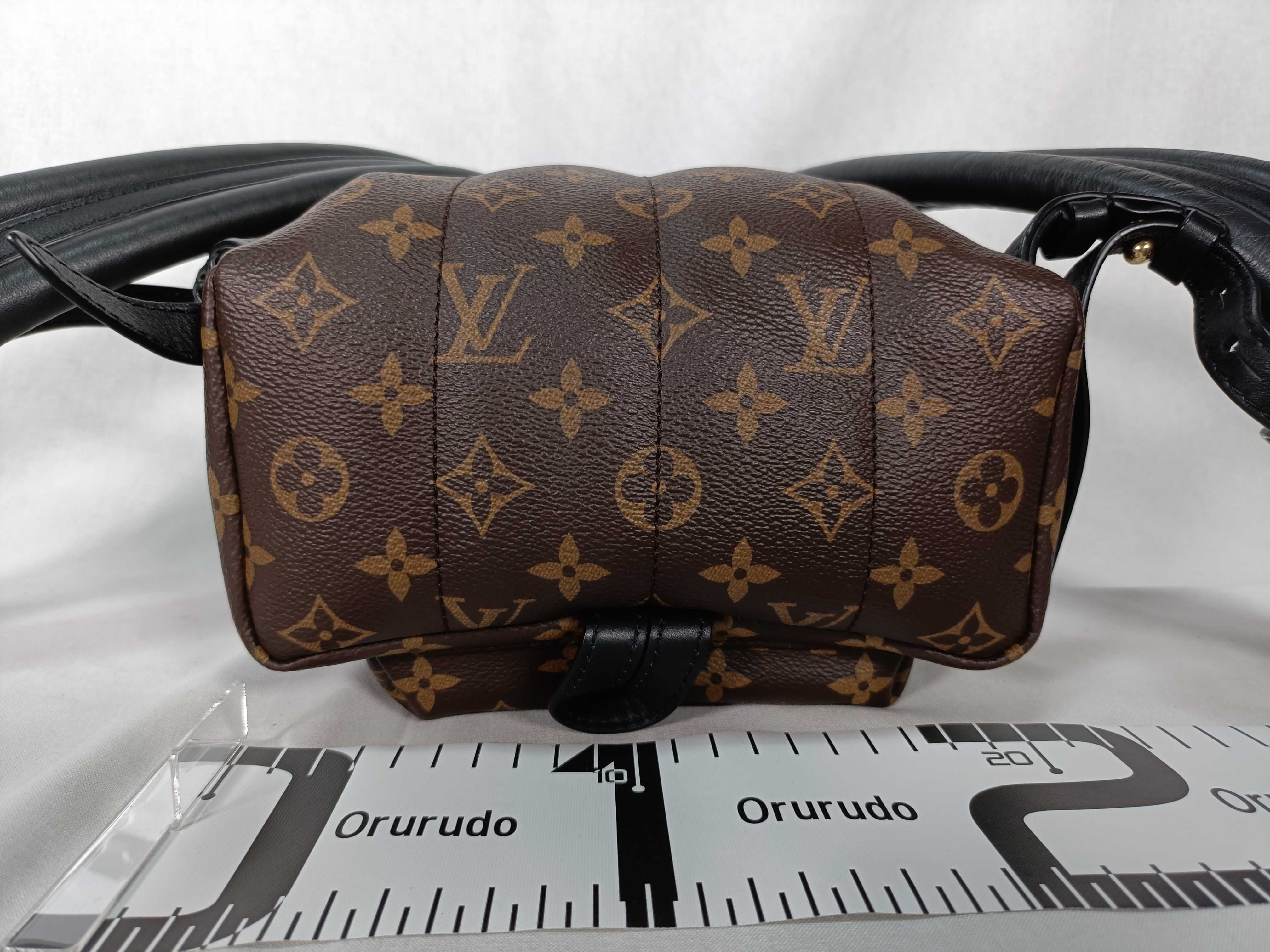 Monogram Palm Springs Brown Monogram Small Backpack — view 3