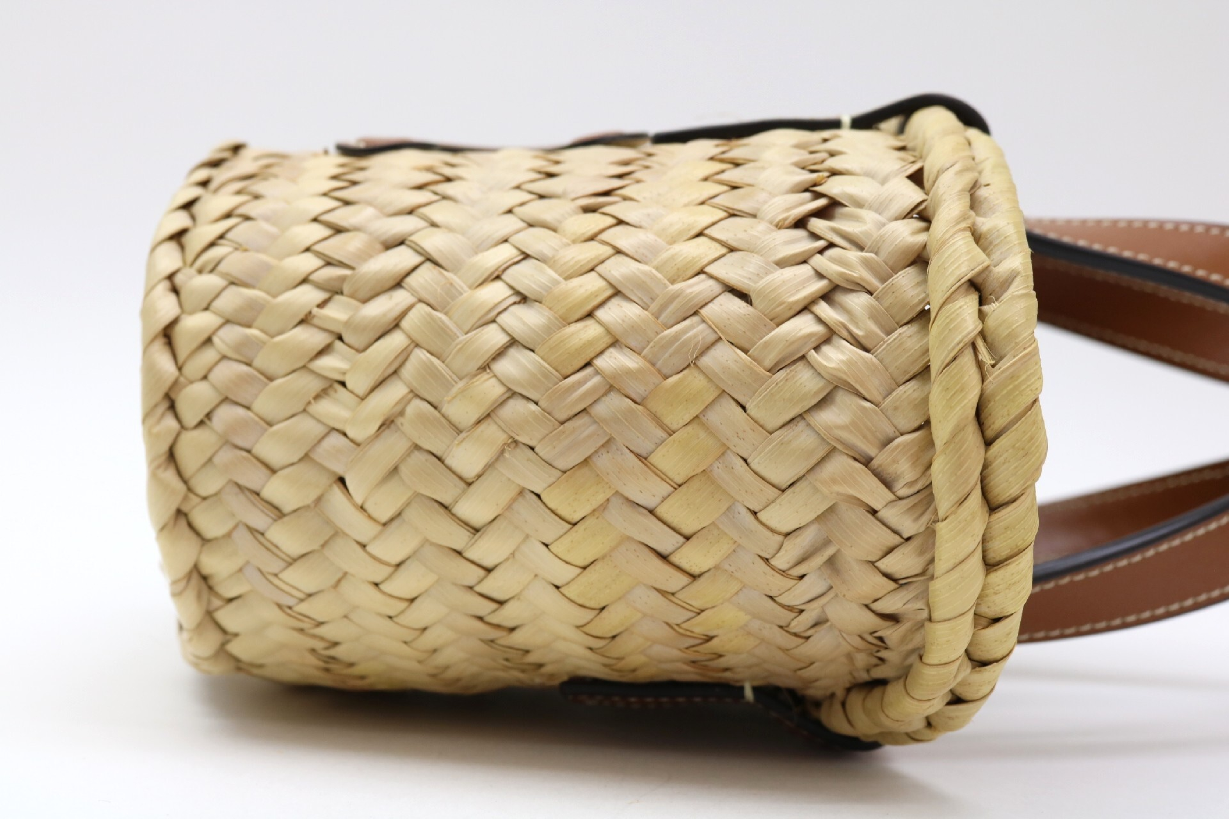 Triomphe Panier Basket 2-Way Shoulder Bag — view 3