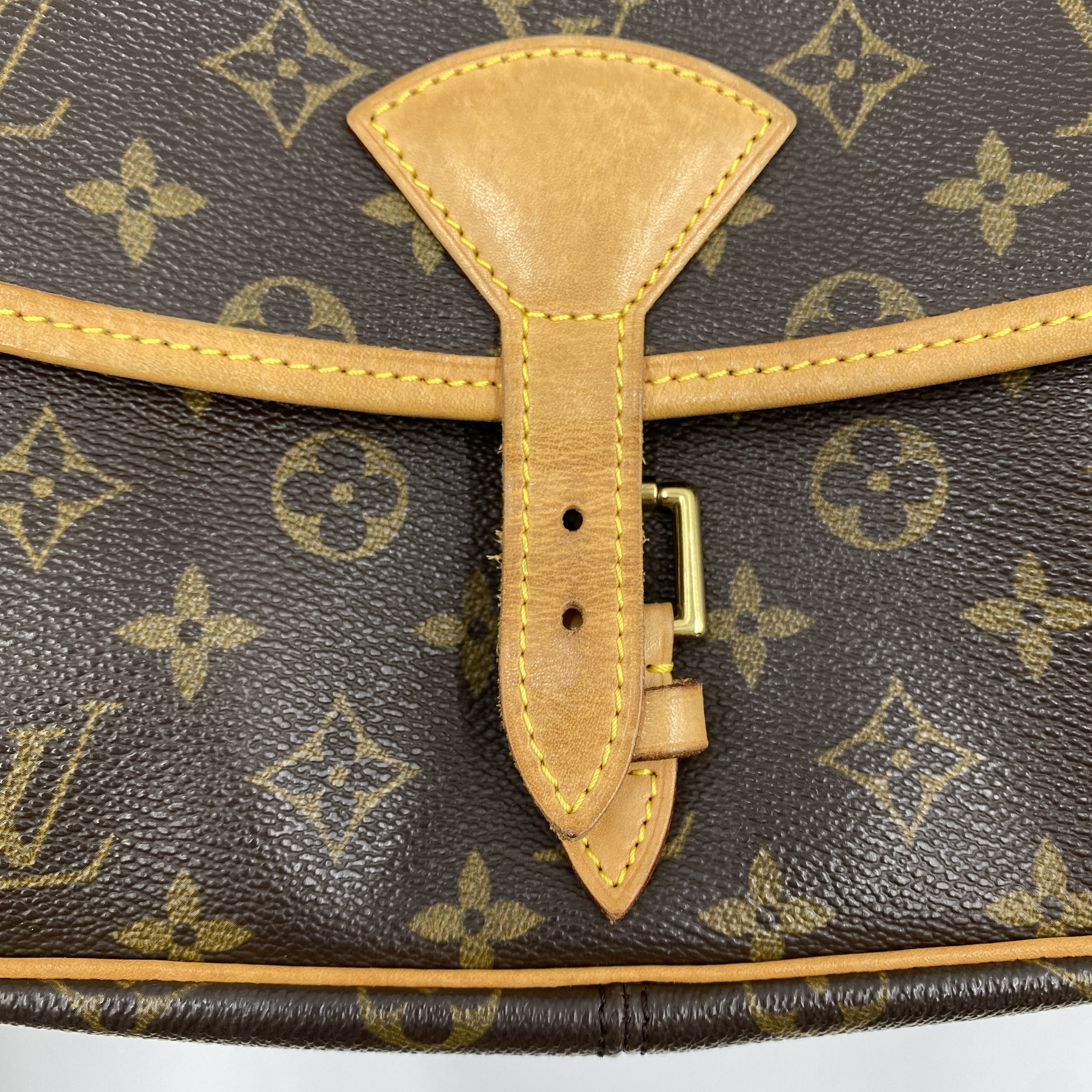 Monogram M42250 Sologne Shoulder Bag — view 10