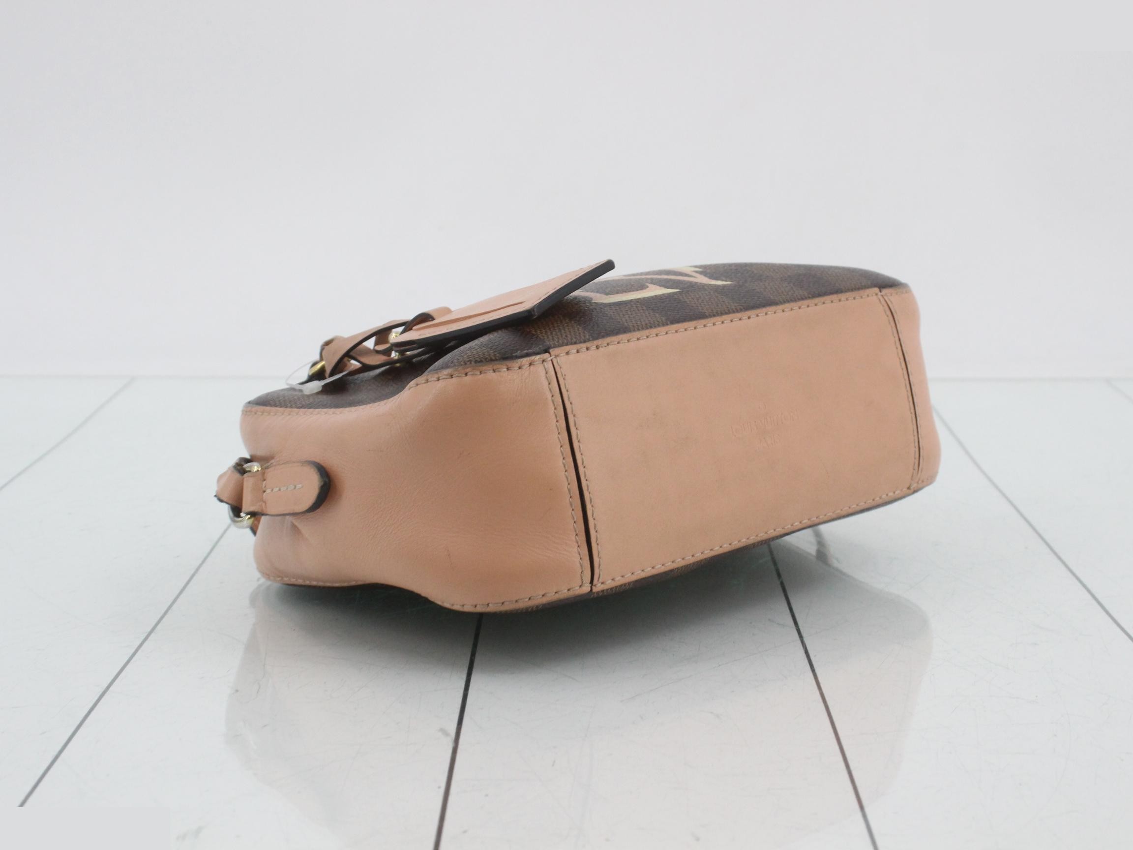 Damier Santa Monica 2-Way Handbag — view 5