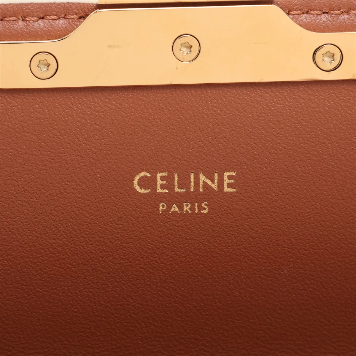 Triomphe Claude PVC Shoulder Bag, Beige — view 9
