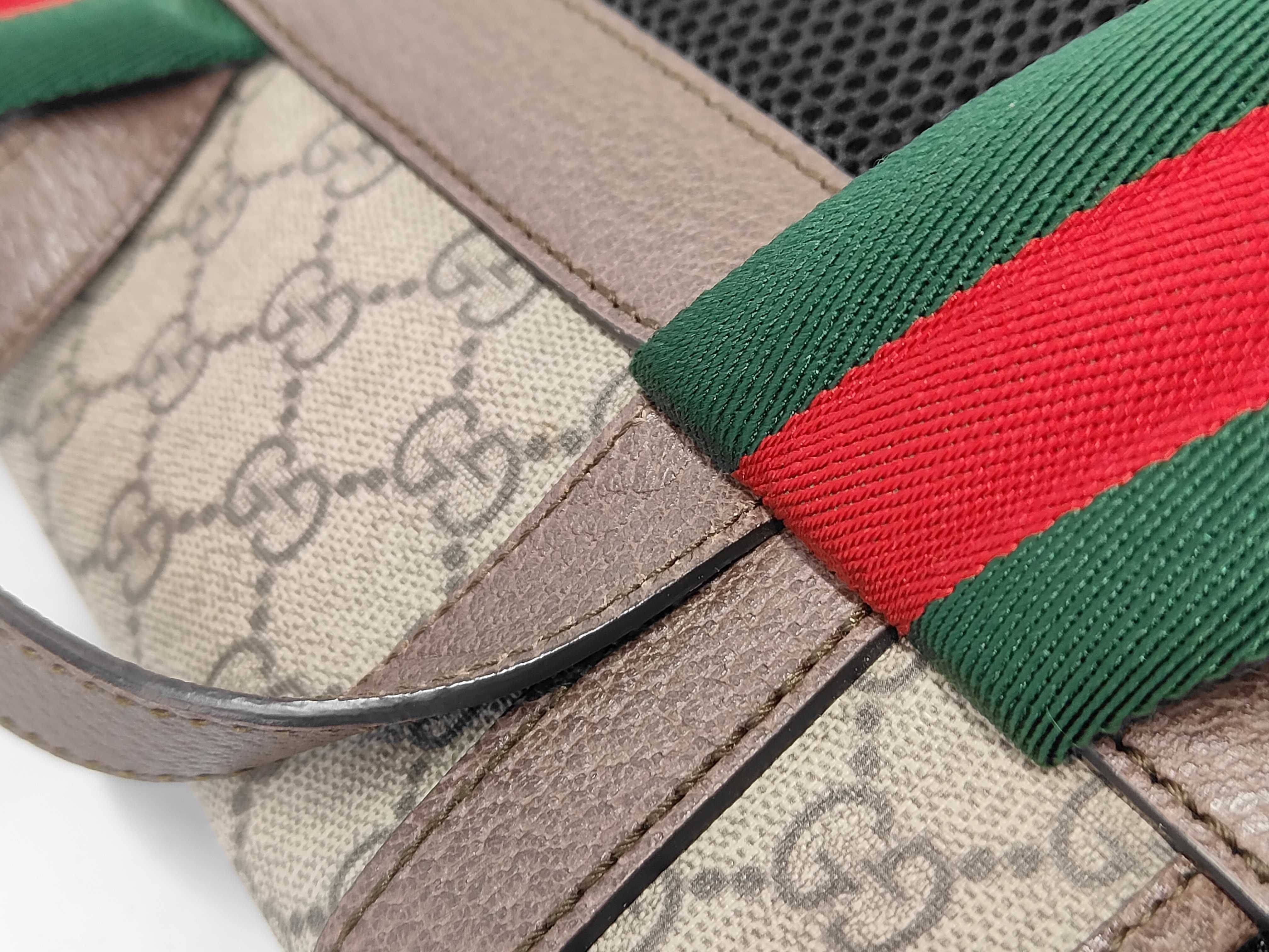 GG Supreme Cat Head Backpack/Rucksack PVC x Leather 473869 Gucci Backpack — view 5