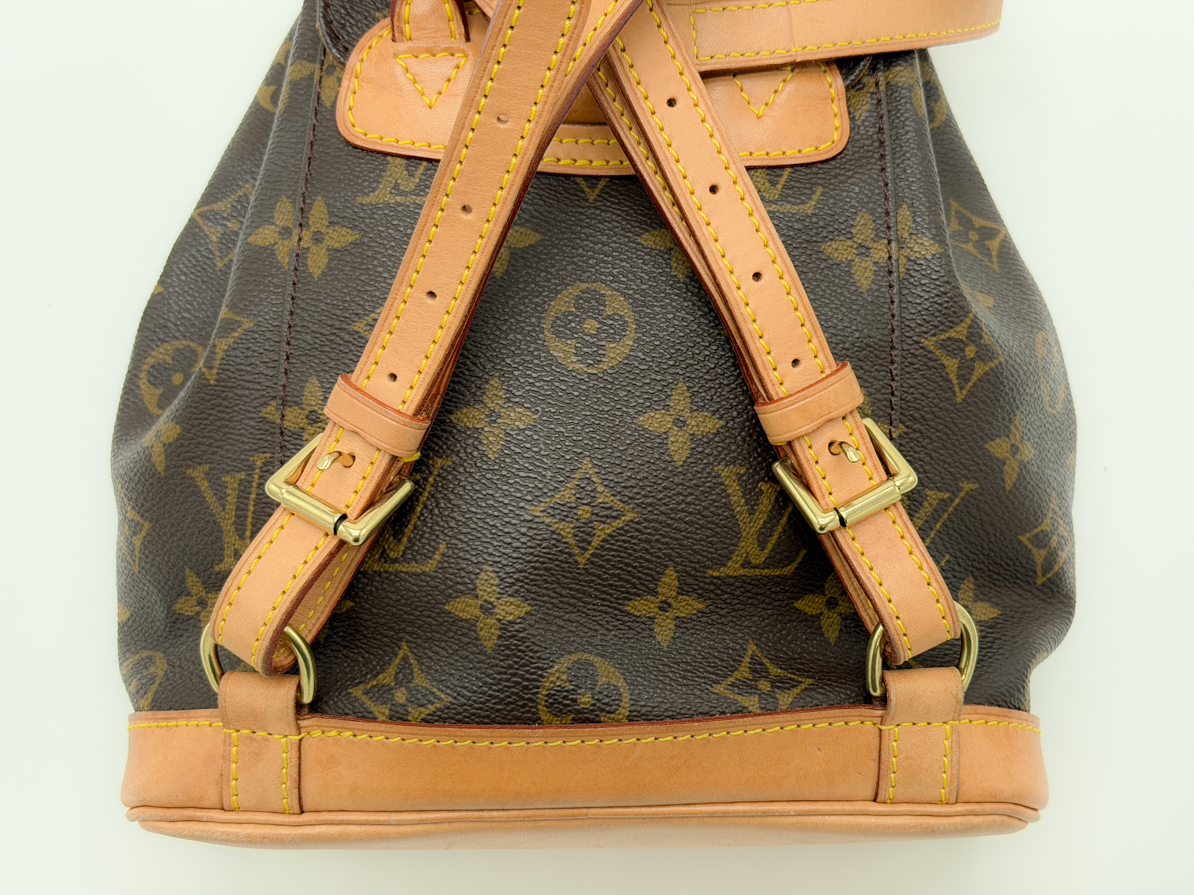 Monogram M51137 Mini Montsouris SP0020 Backpack — view 4
