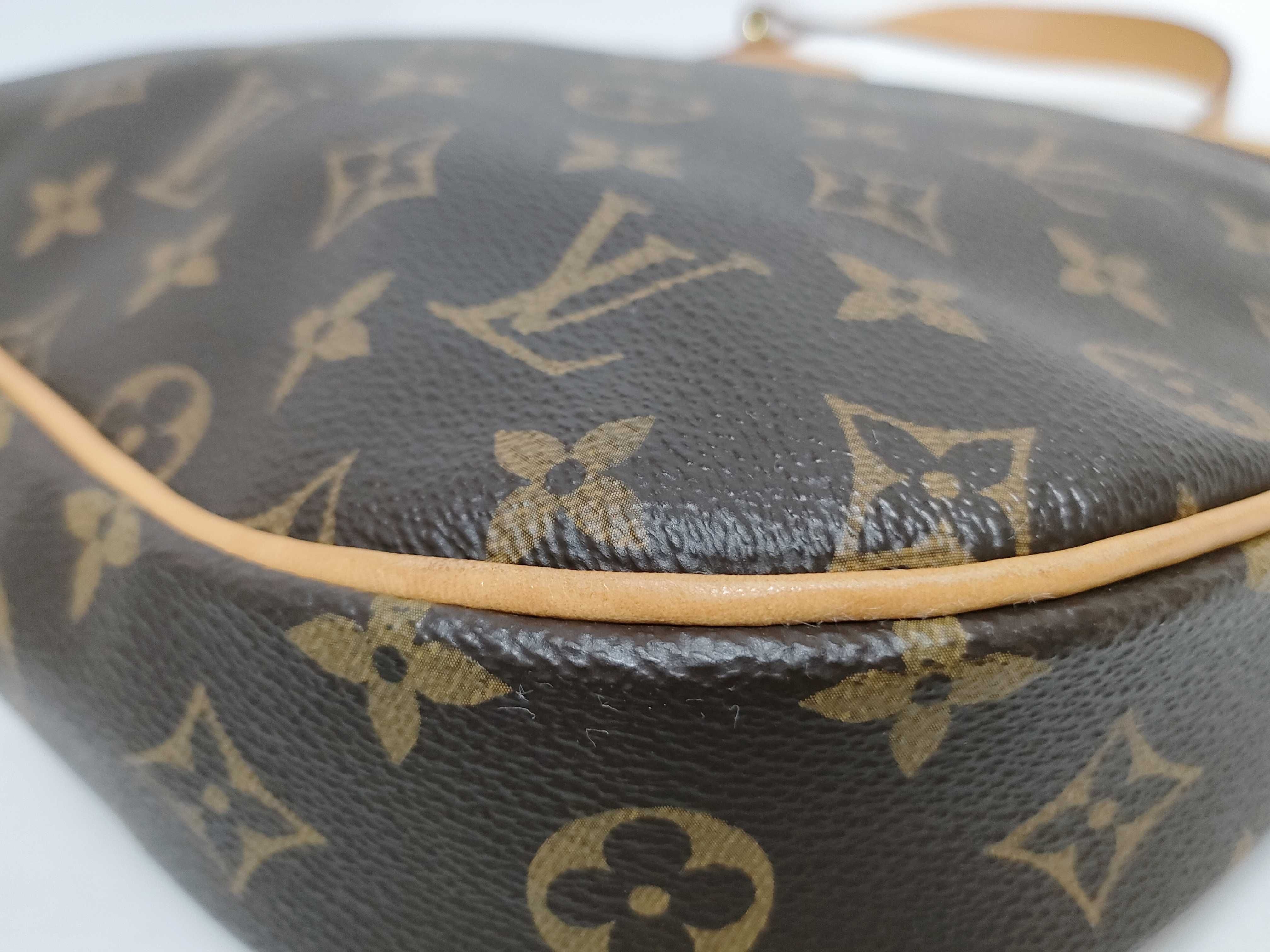 Monogram Odeon Shoulder Bag — view 7