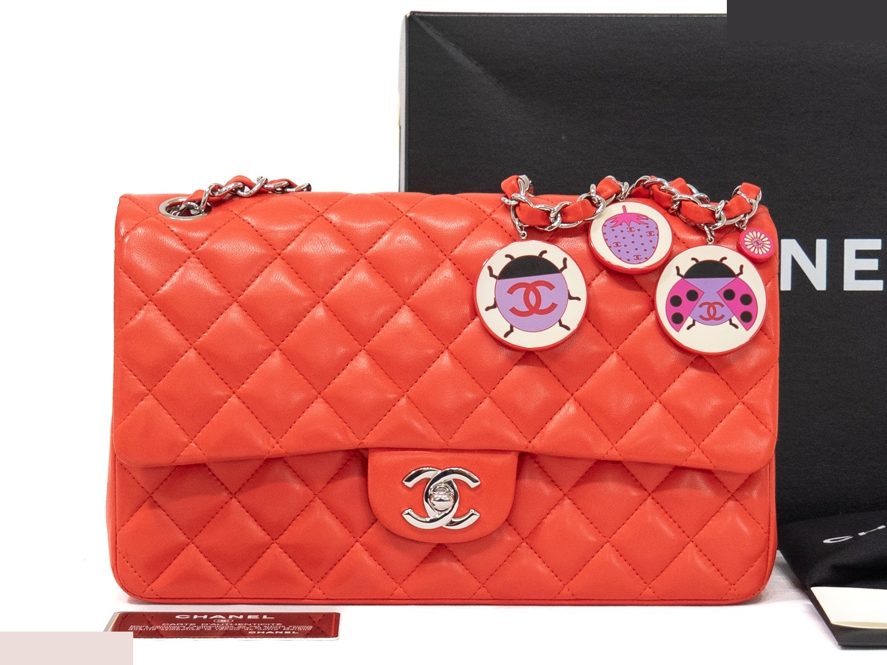 Matelassé Seal Card, Ladybug, Double Chain