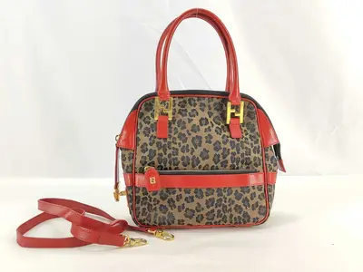 Leopard Print 2-Way Handbag
