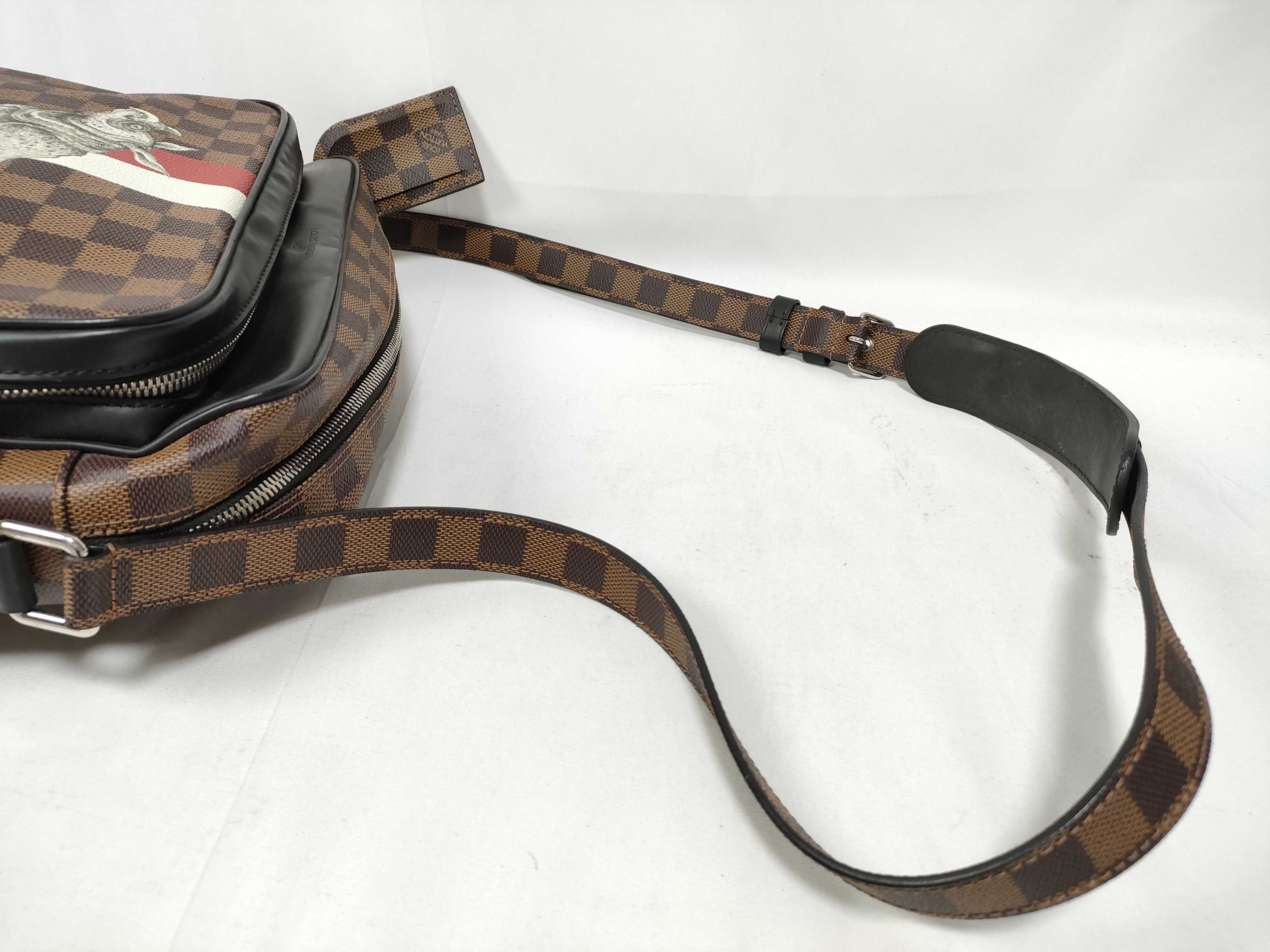 Savannah Chapman Damier Nile PM Shoulder Bag N42704 RI5106 Brown — view 8