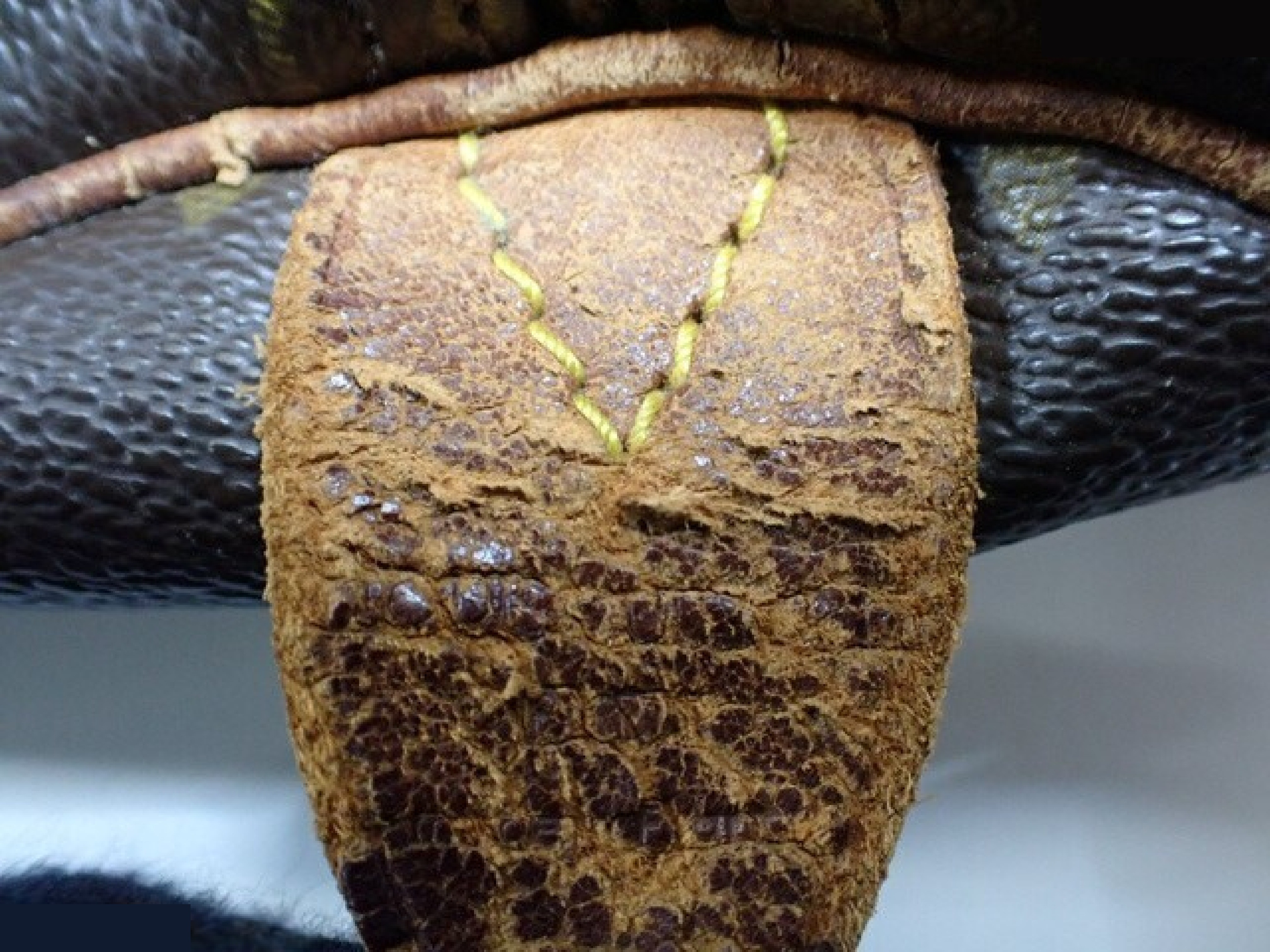 Keepall 55 — view 6