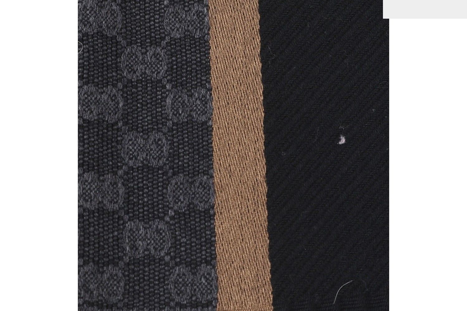 GG Canvas (Accessories) / Scarf — view 2