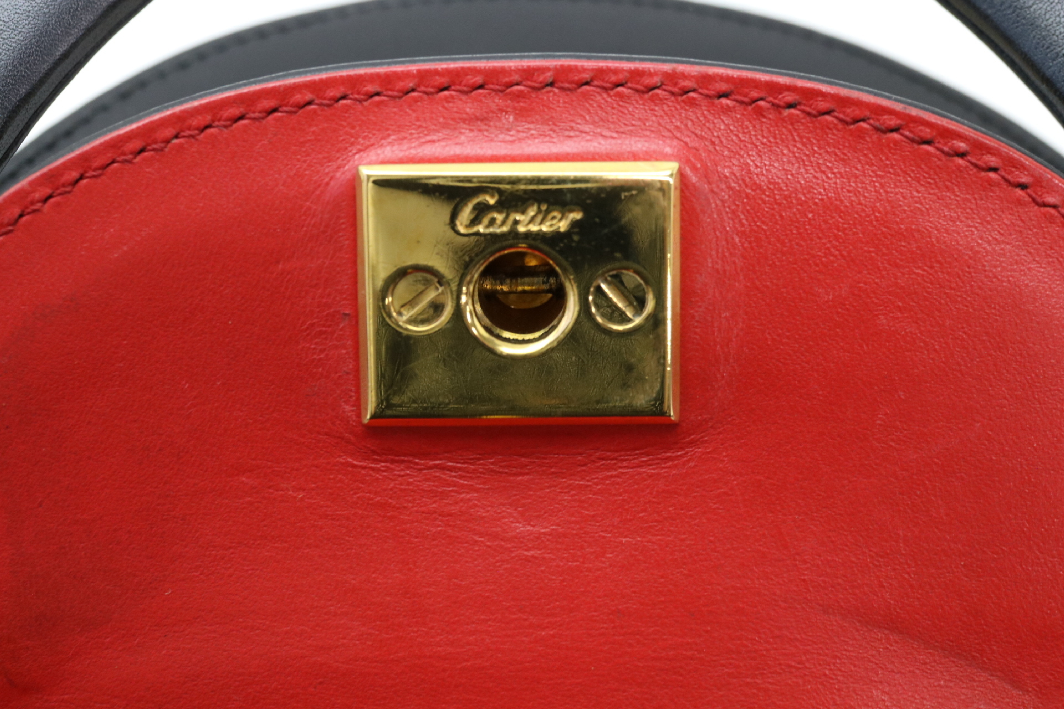 Panthère Leather Handbag — view 9