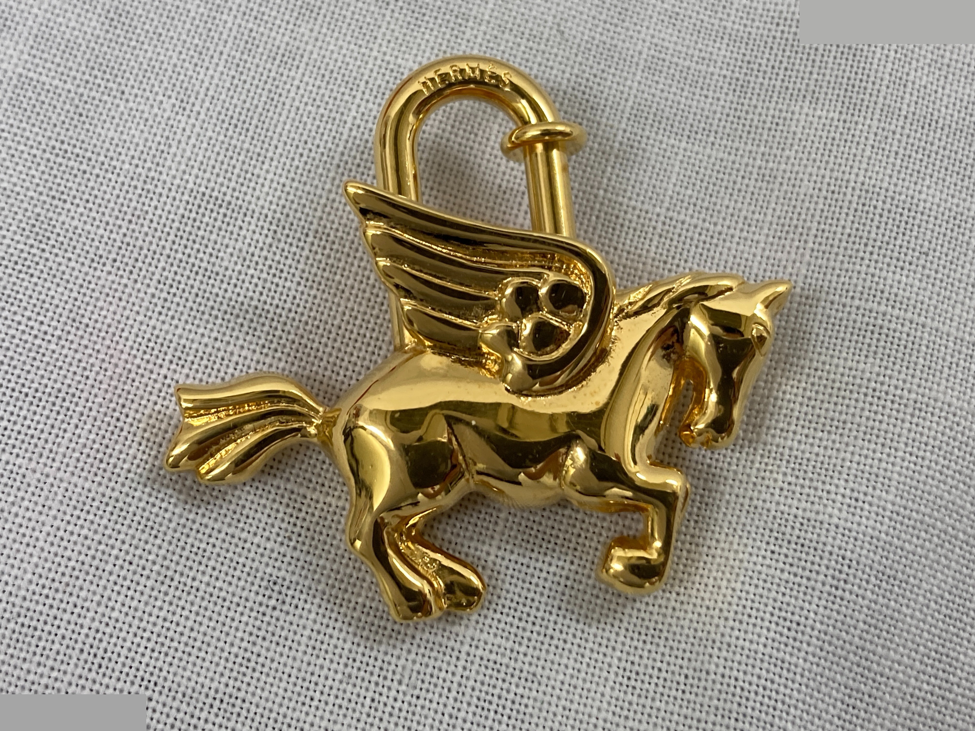 Charm Pegasus — view 2