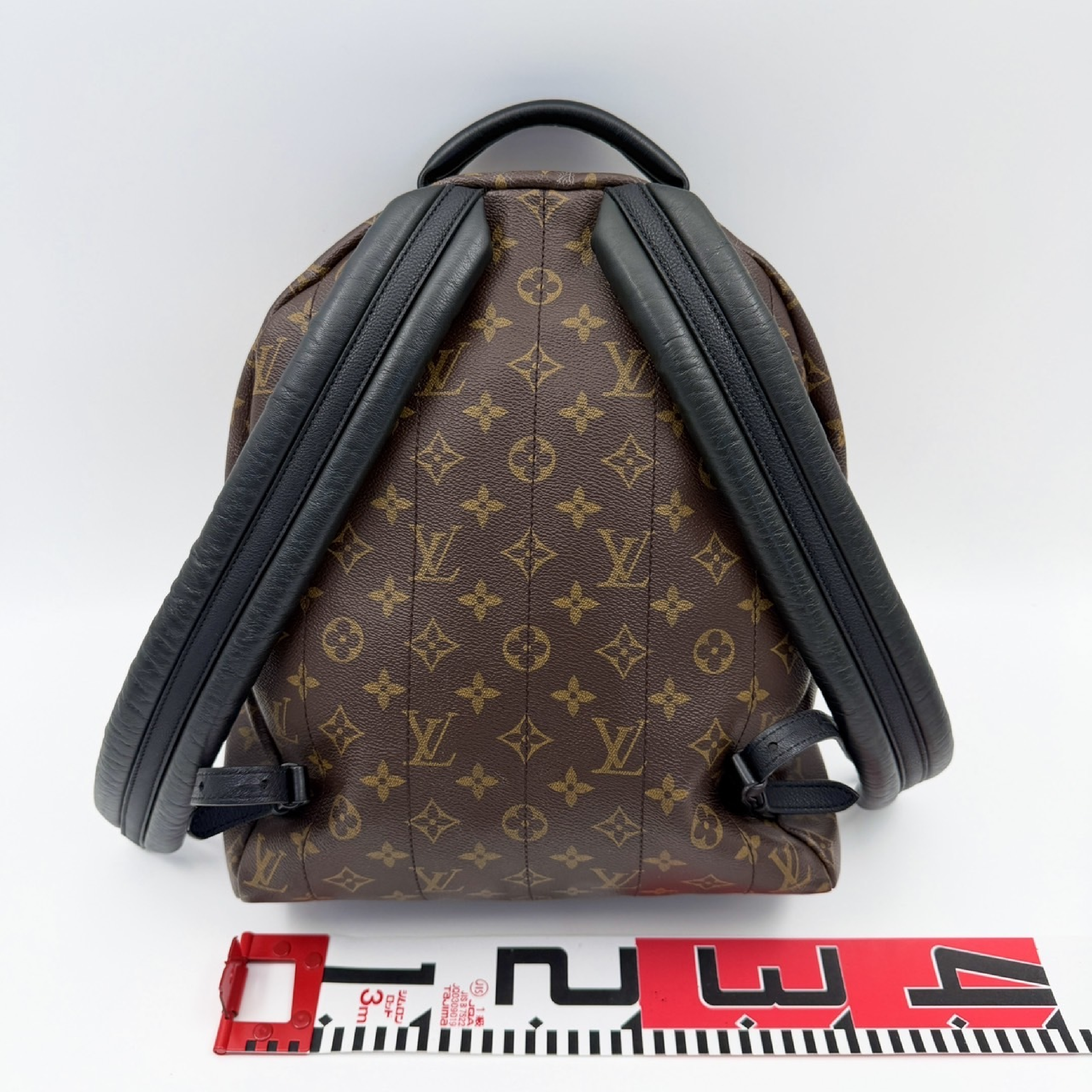 Monogram Palm Springs MM Backpack — view 2