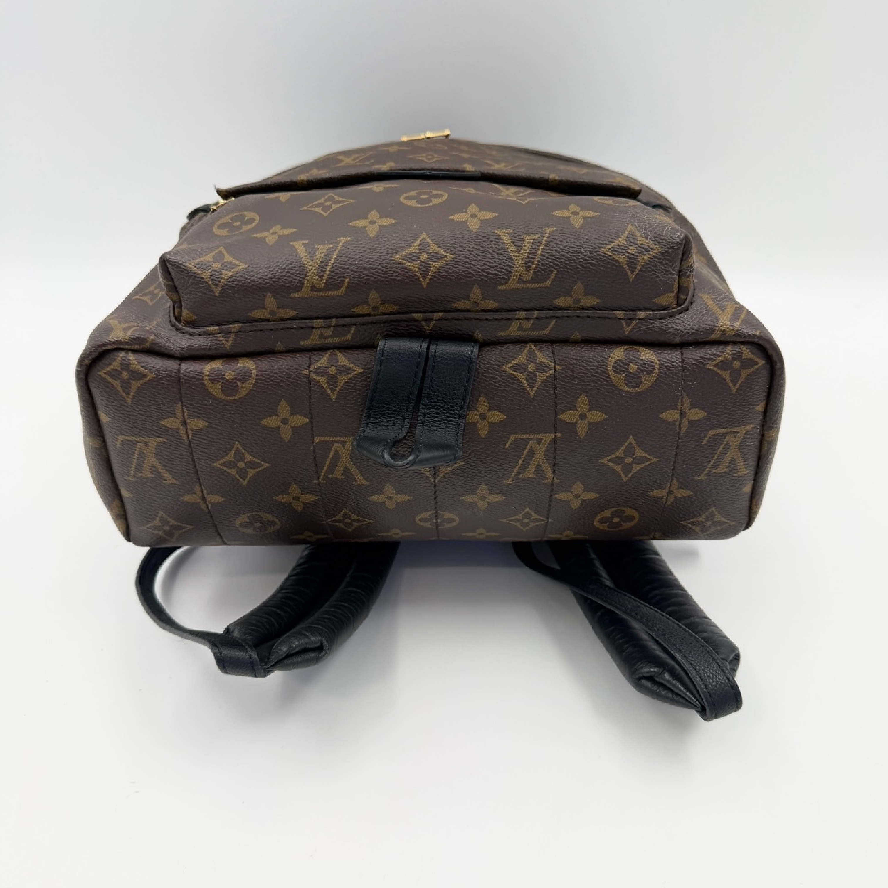 Monogram Palm Springs MM Backpack — view 3