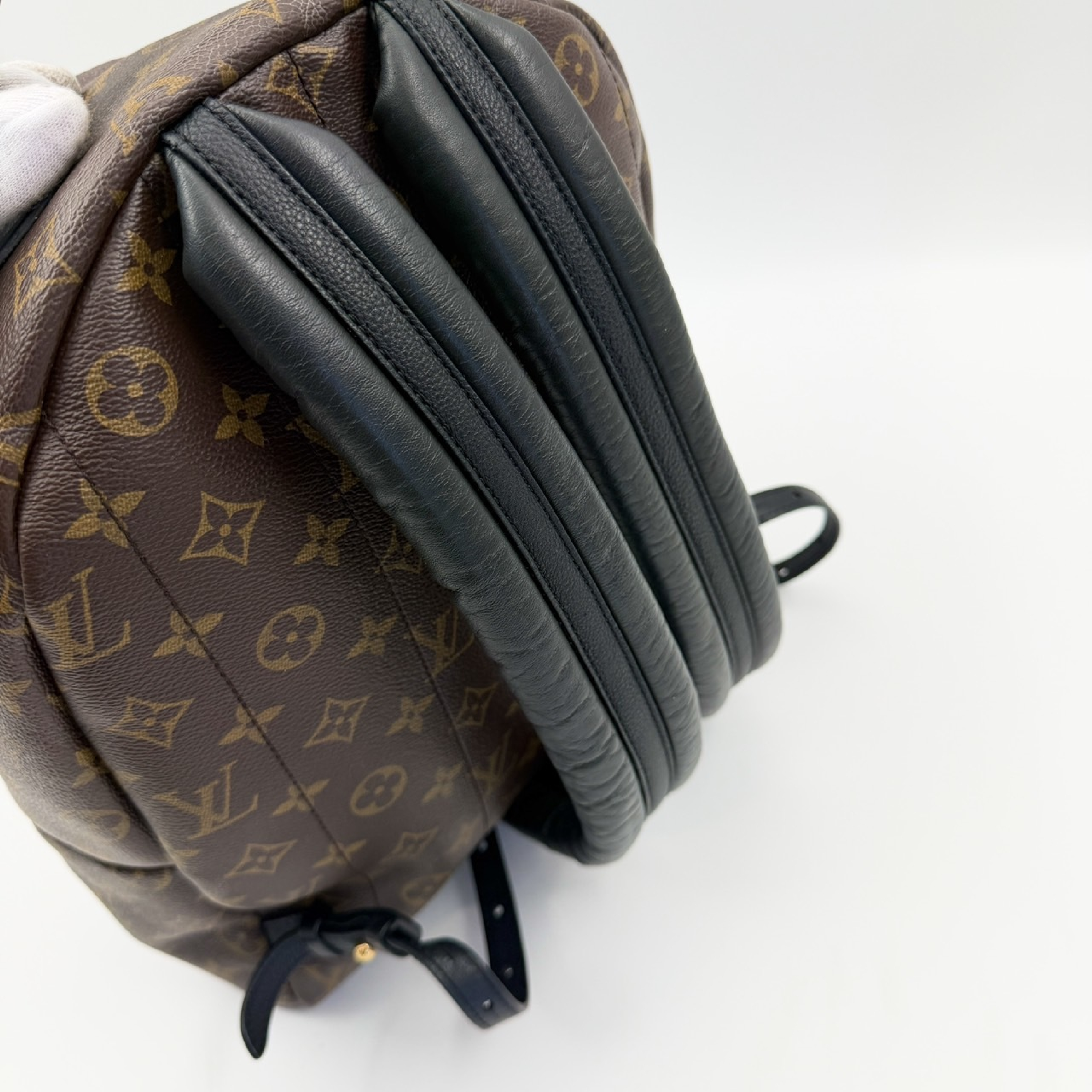 Monogram Palm Springs MM Backpack — view 5