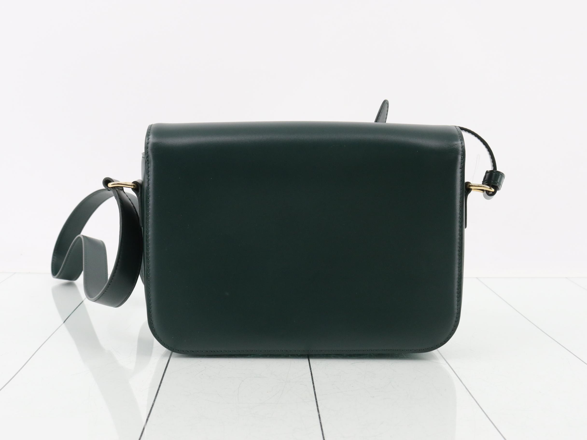 Triomphe Calf Leather Shoulder Bag, Green — view 2