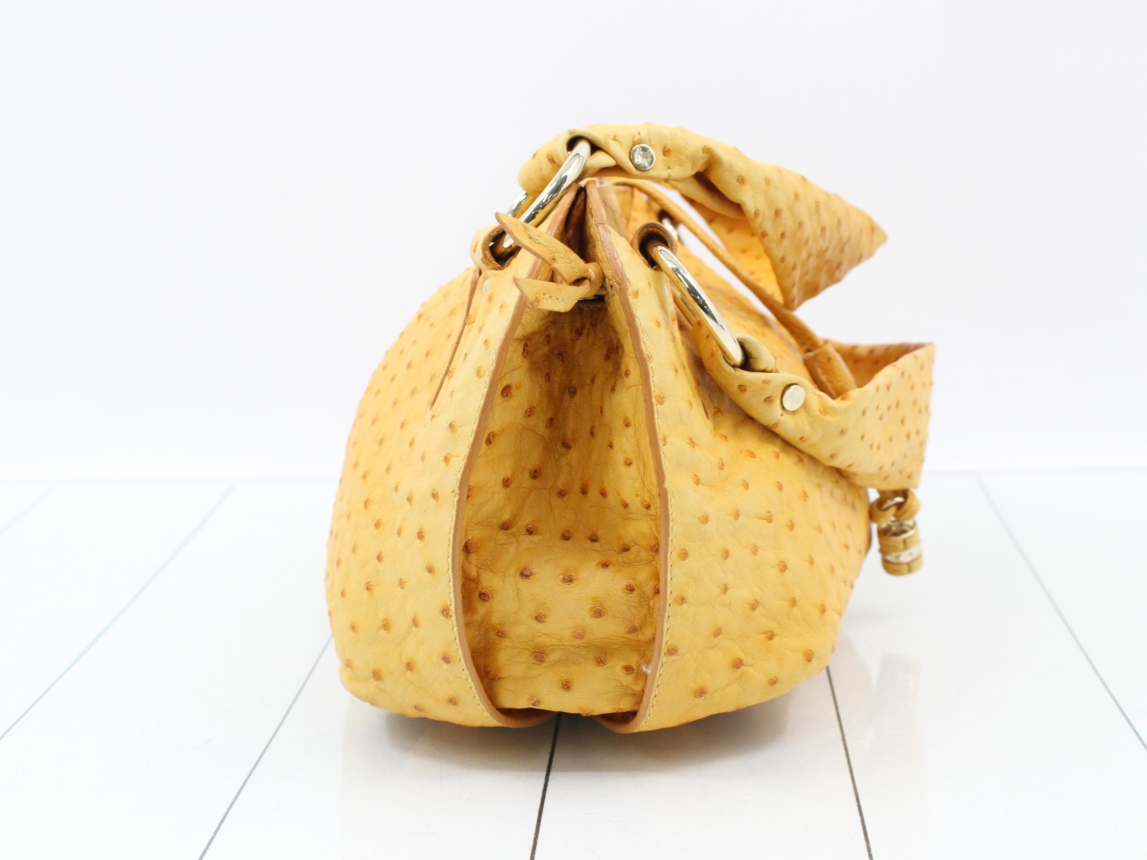 Ostrich Bittersweet (with storage bag) — view 4