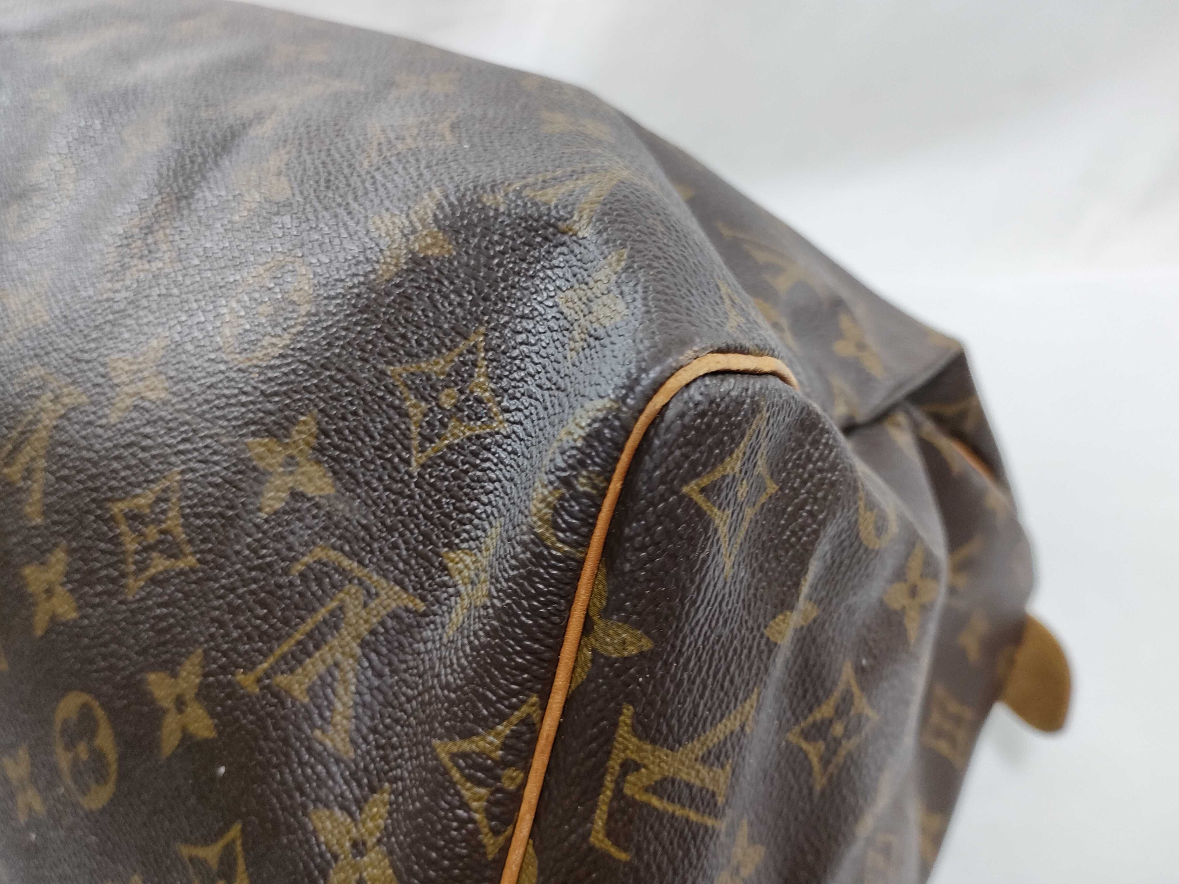 Monogram LV Speedy Handbag — view 10