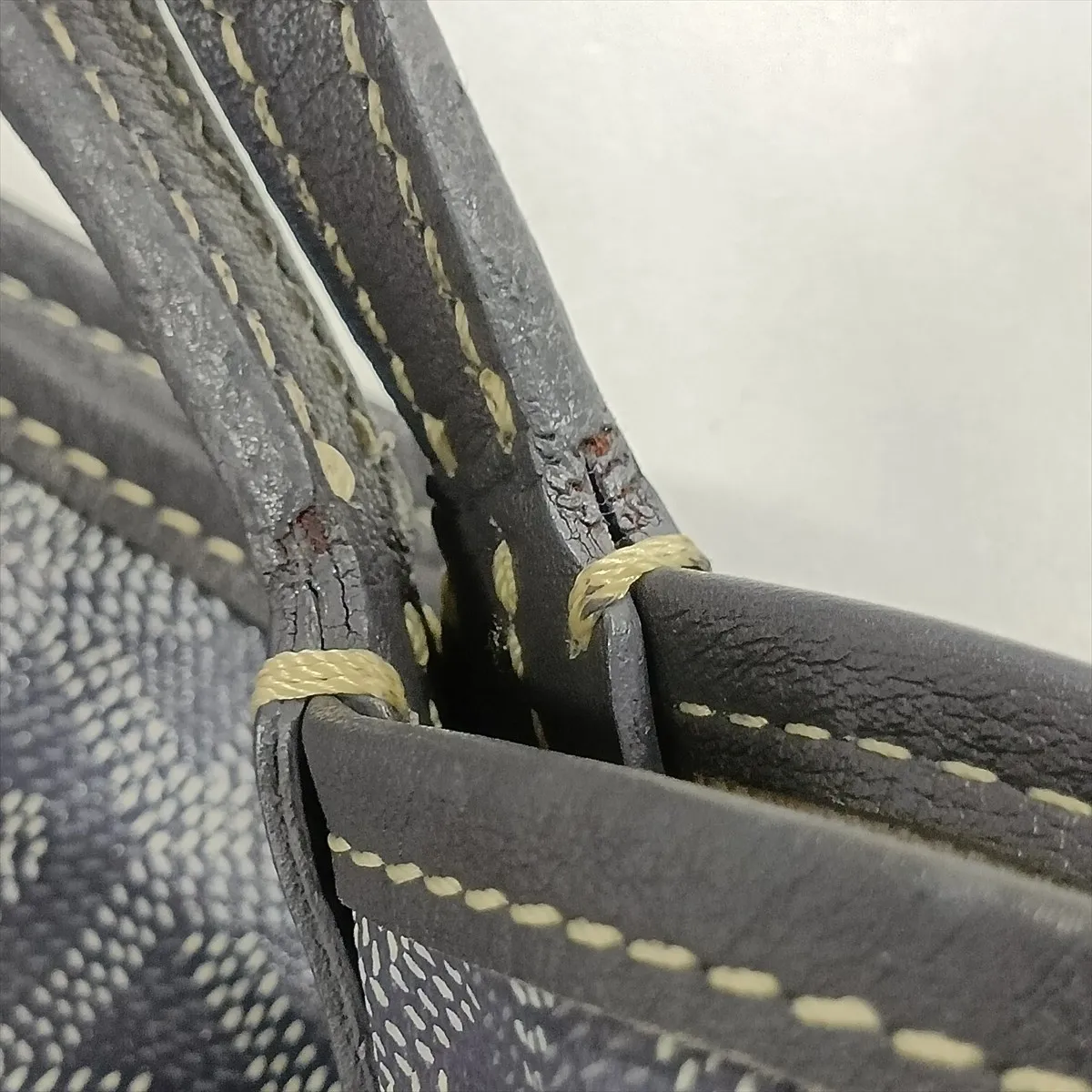 Saint Louis GM PVC x Leather Tote Bag, Gray — view 11