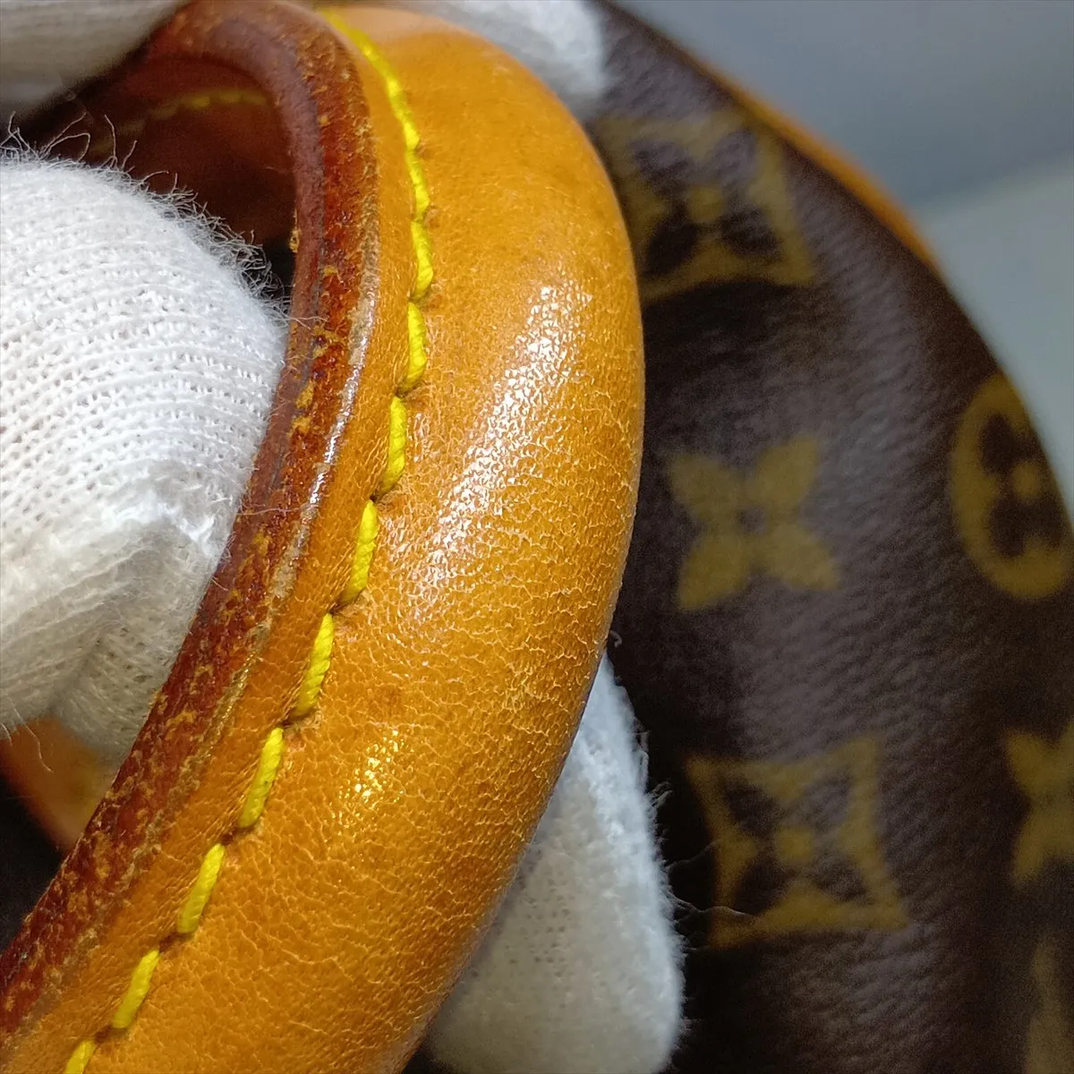 Monogram Speedy 25 M41528 MI872 Brown — view 14