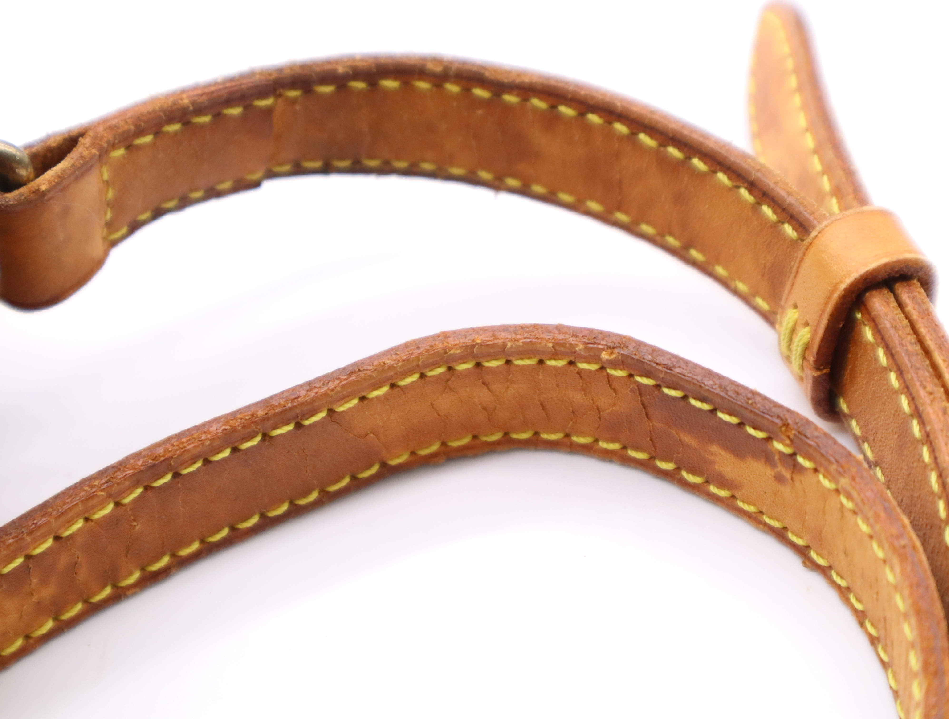 M42250 Monogram Sologne Shoulder Bag — view 13