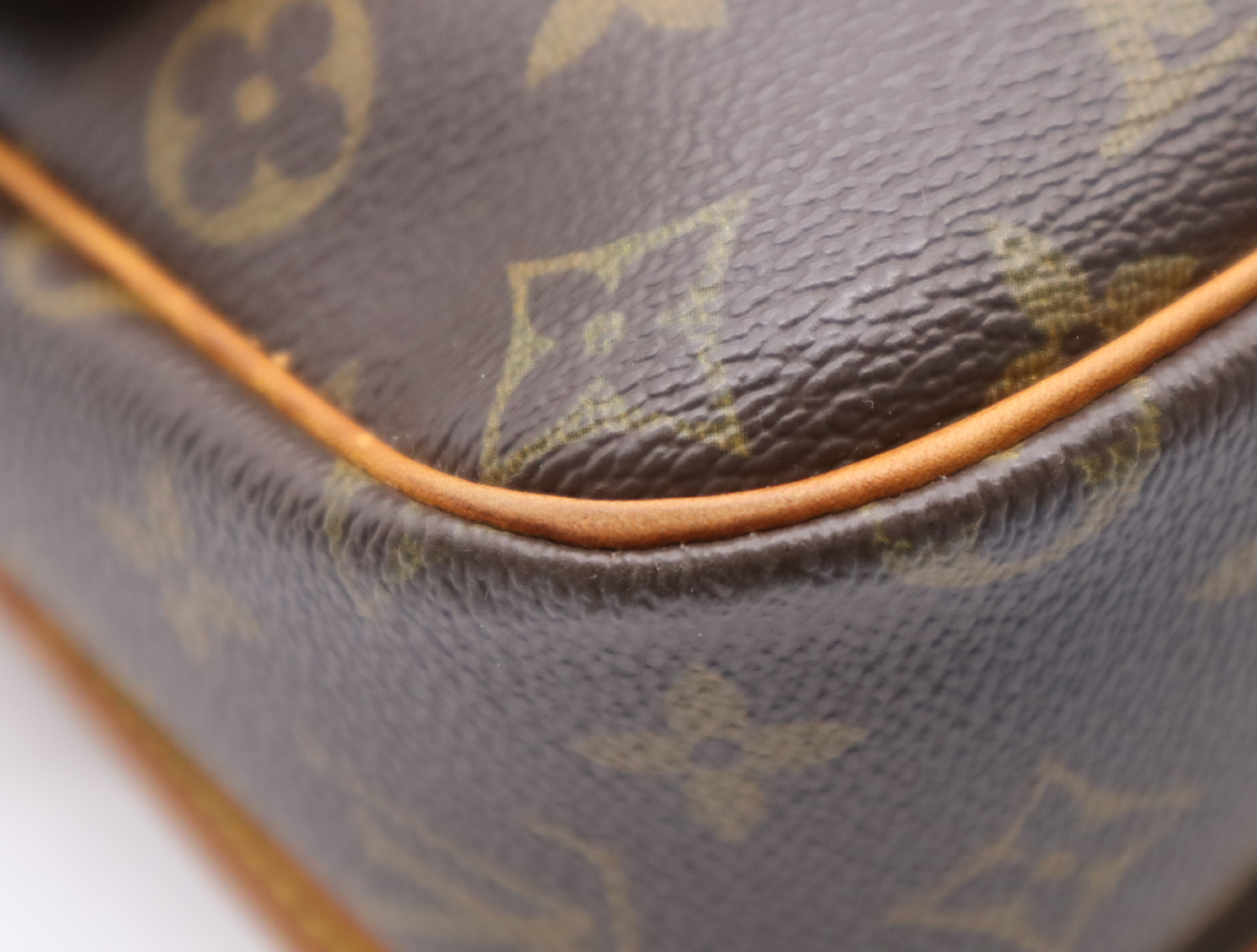 M42250 Monogram Sologne Shoulder Bag — view 6