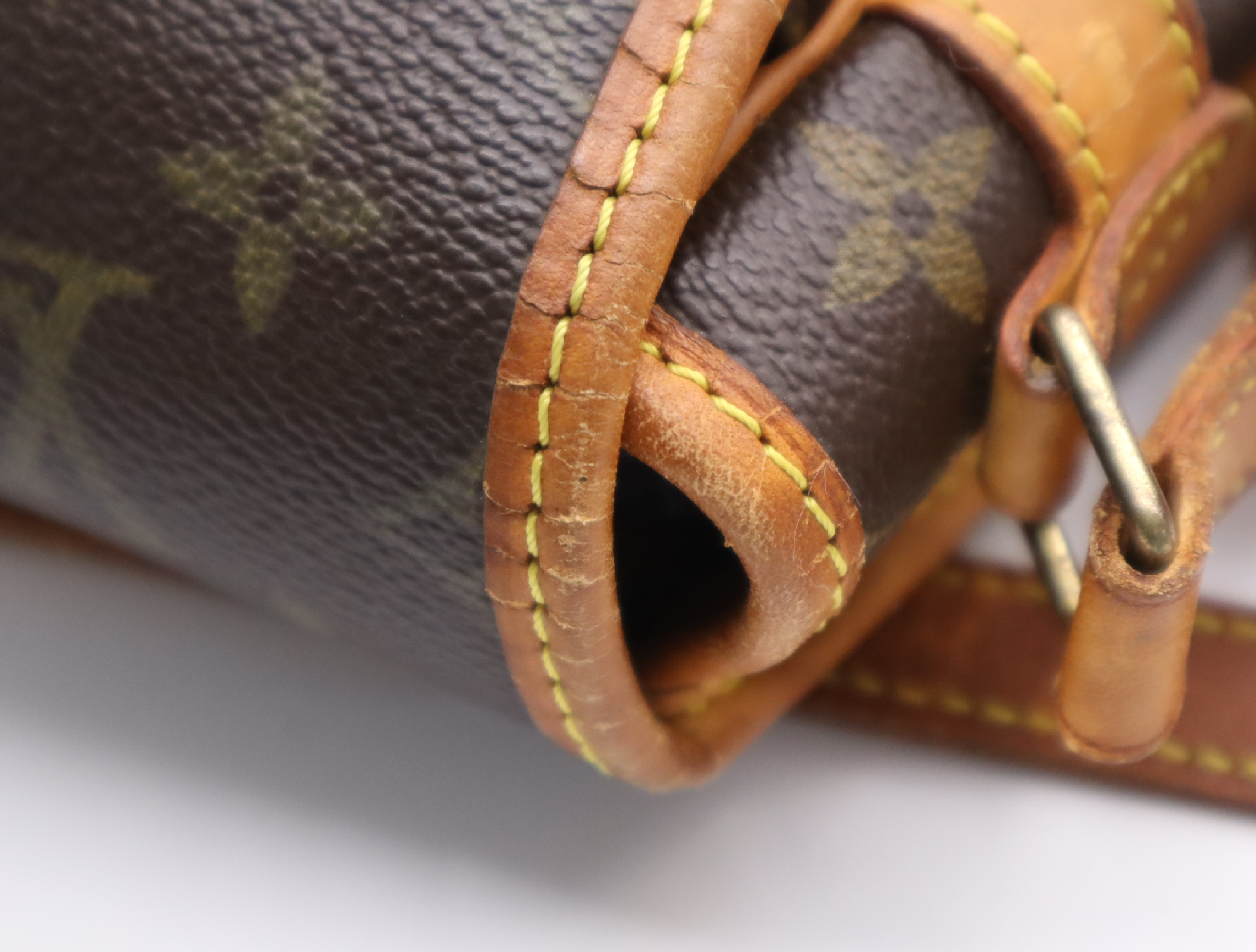 M42250 Monogram Sologne Shoulder Bag — view 10
