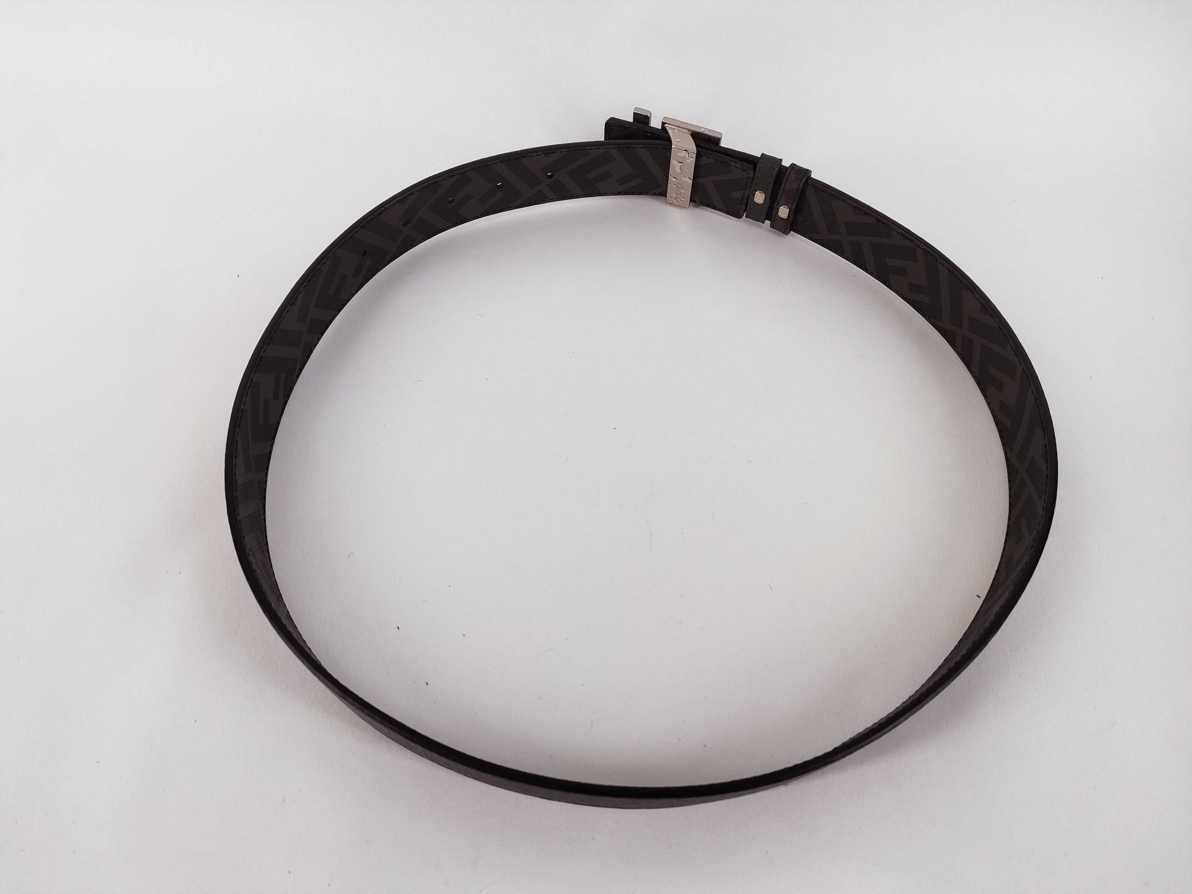 belt — view 2