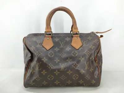 Monogram Louis Vuitton Speedy Boston Bag