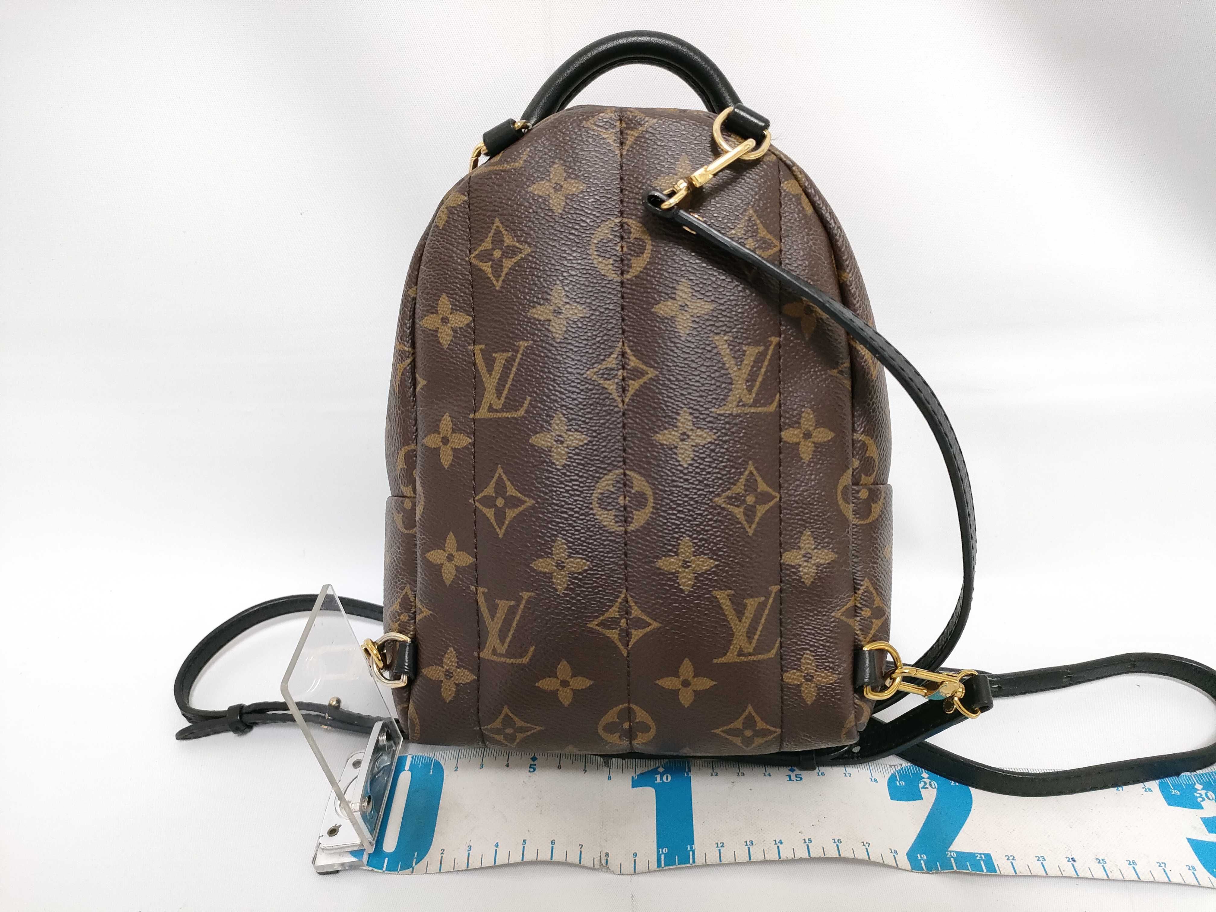 Monogram Palm Springs Mini M44873/CA2107 Backpack — view 2