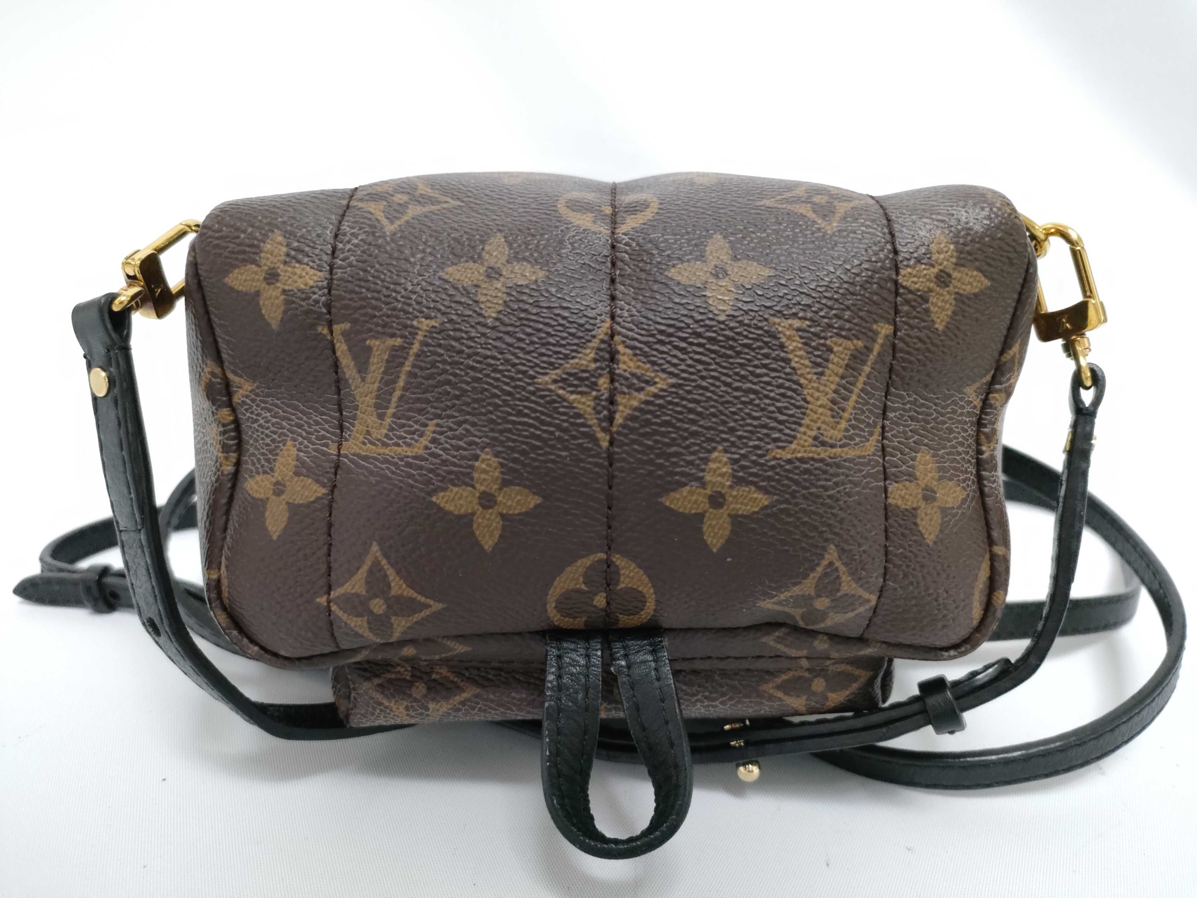 Monogram Palm Springs Mini M44873/CA2107 Backpack — view 5