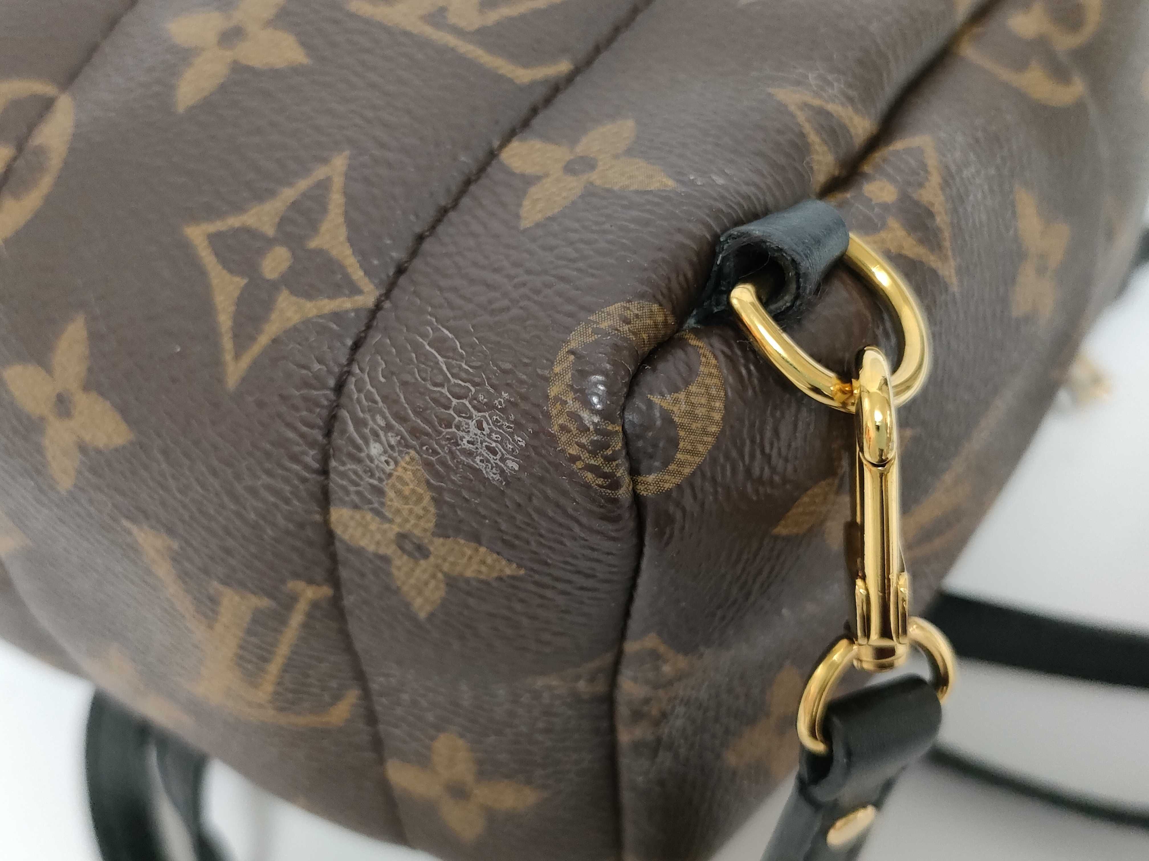 Monogram Palm Springs Mini M44873/CA2107 Backpack — view 6