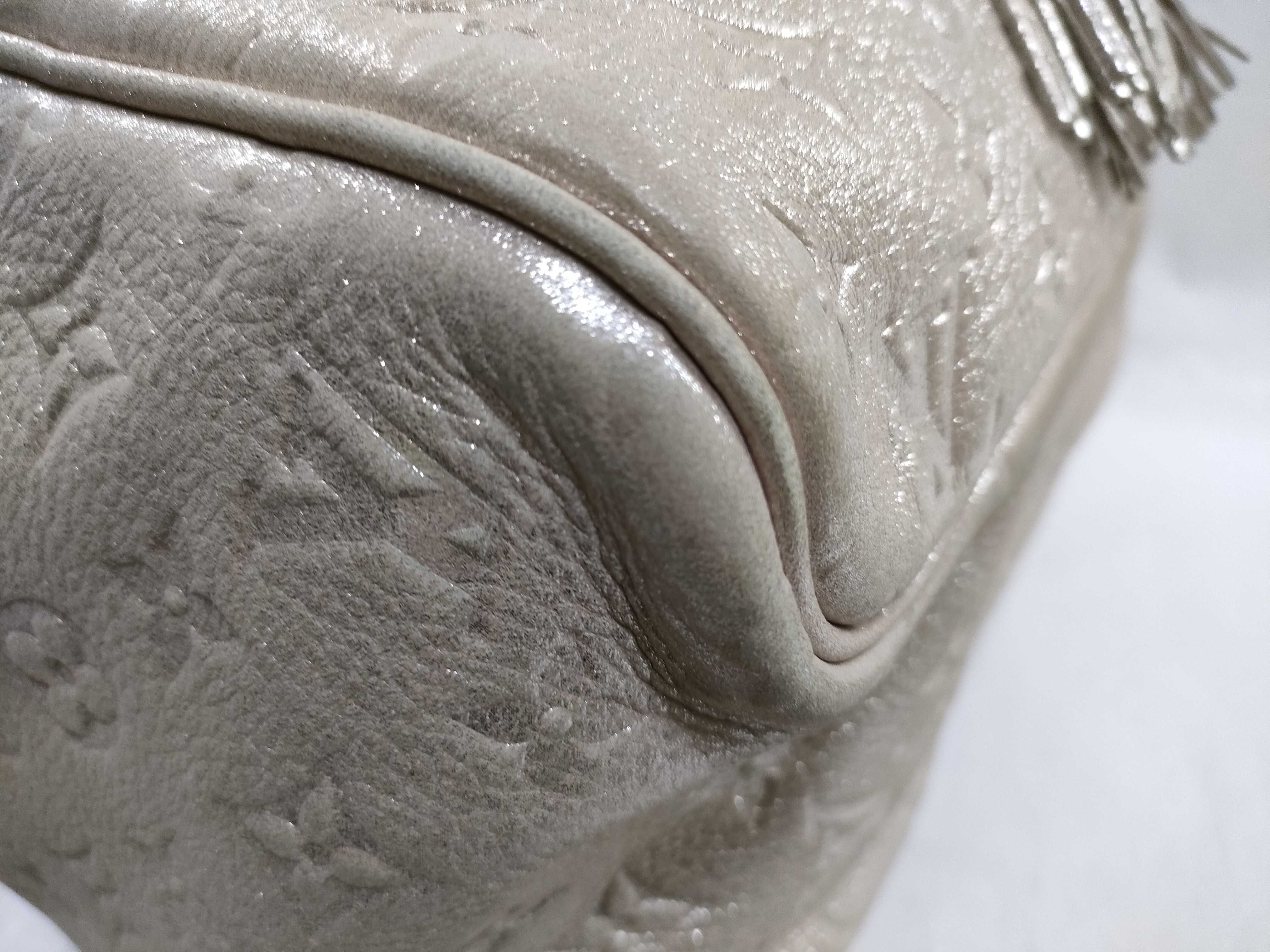 Monogram Shimmer Comet Argent 2008 Limited Edition Handbag — view 6