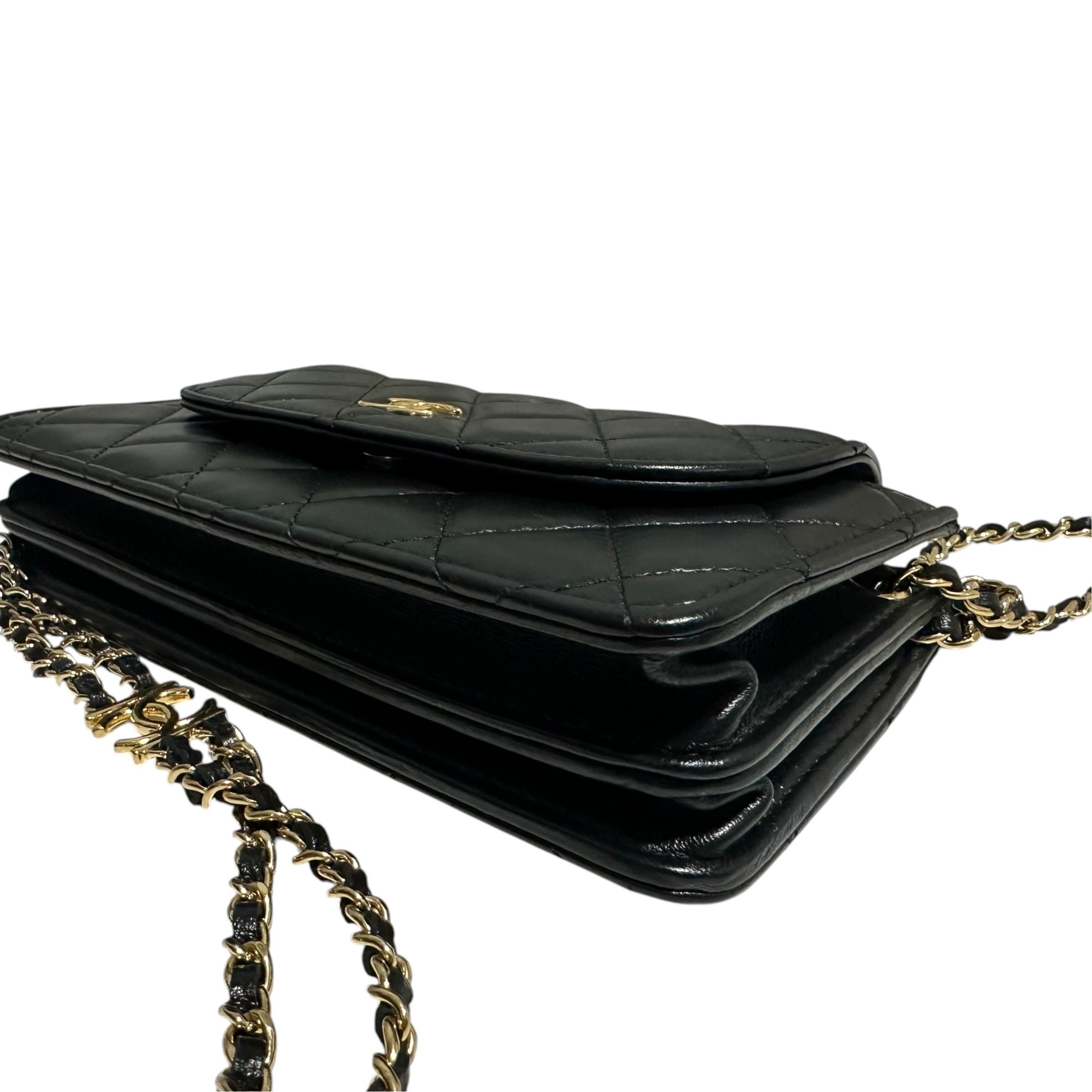 Matelassé Lambskin Mini Chain Clutch Shoulder Bag AP2999 — view 7